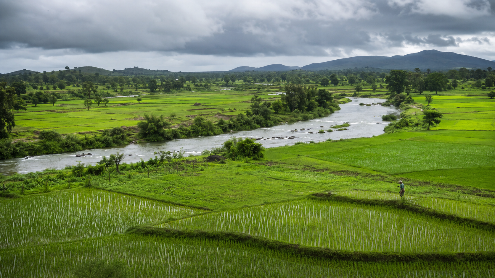 The Sacred Rain, What It Does to the Land, and 5 Foods That Love Your Gut- Sawan in India