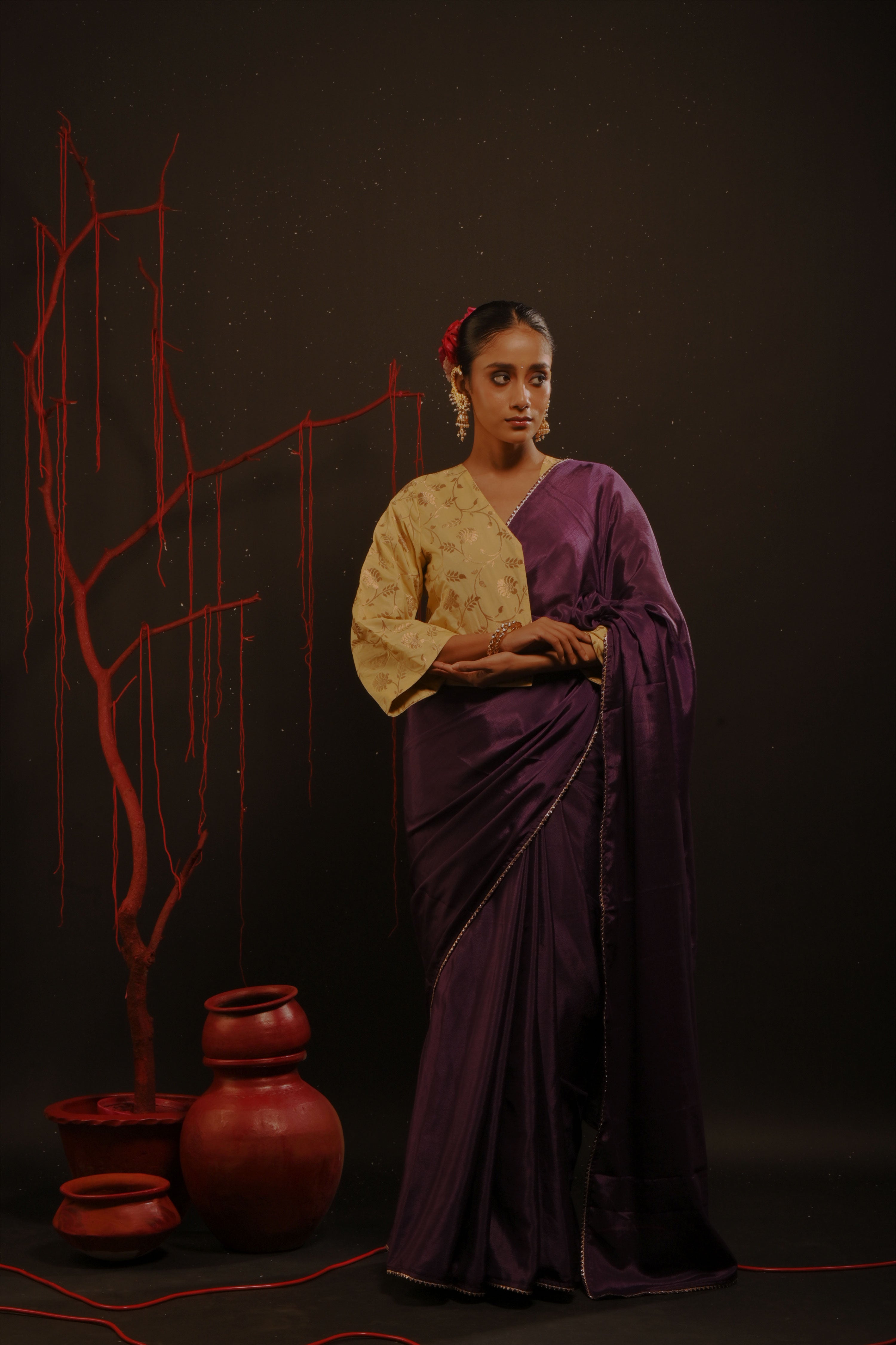 Sitarika I Purple Chinon saree with samosa lacr border
