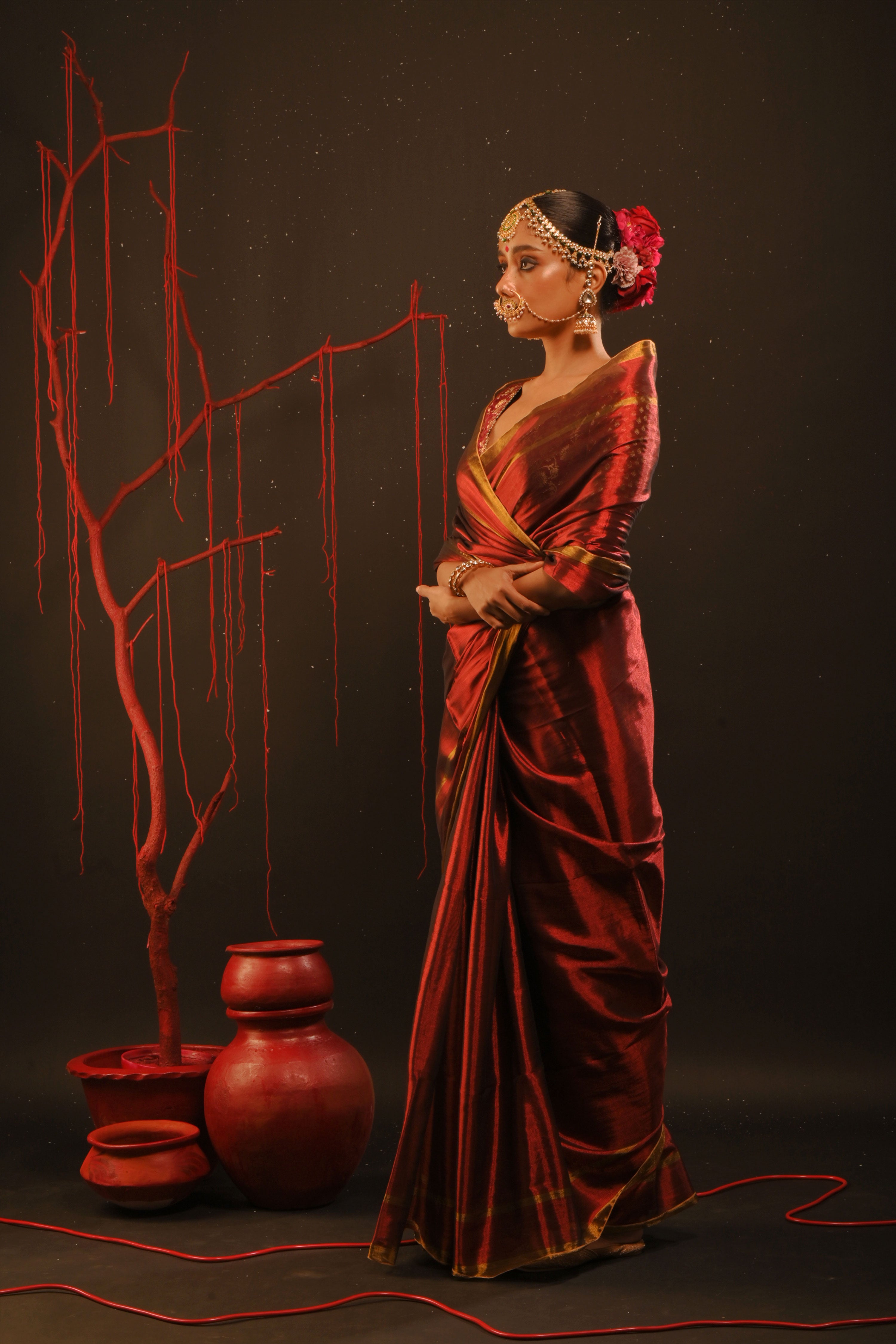 Daivika + Anuraagini saree blouse combo