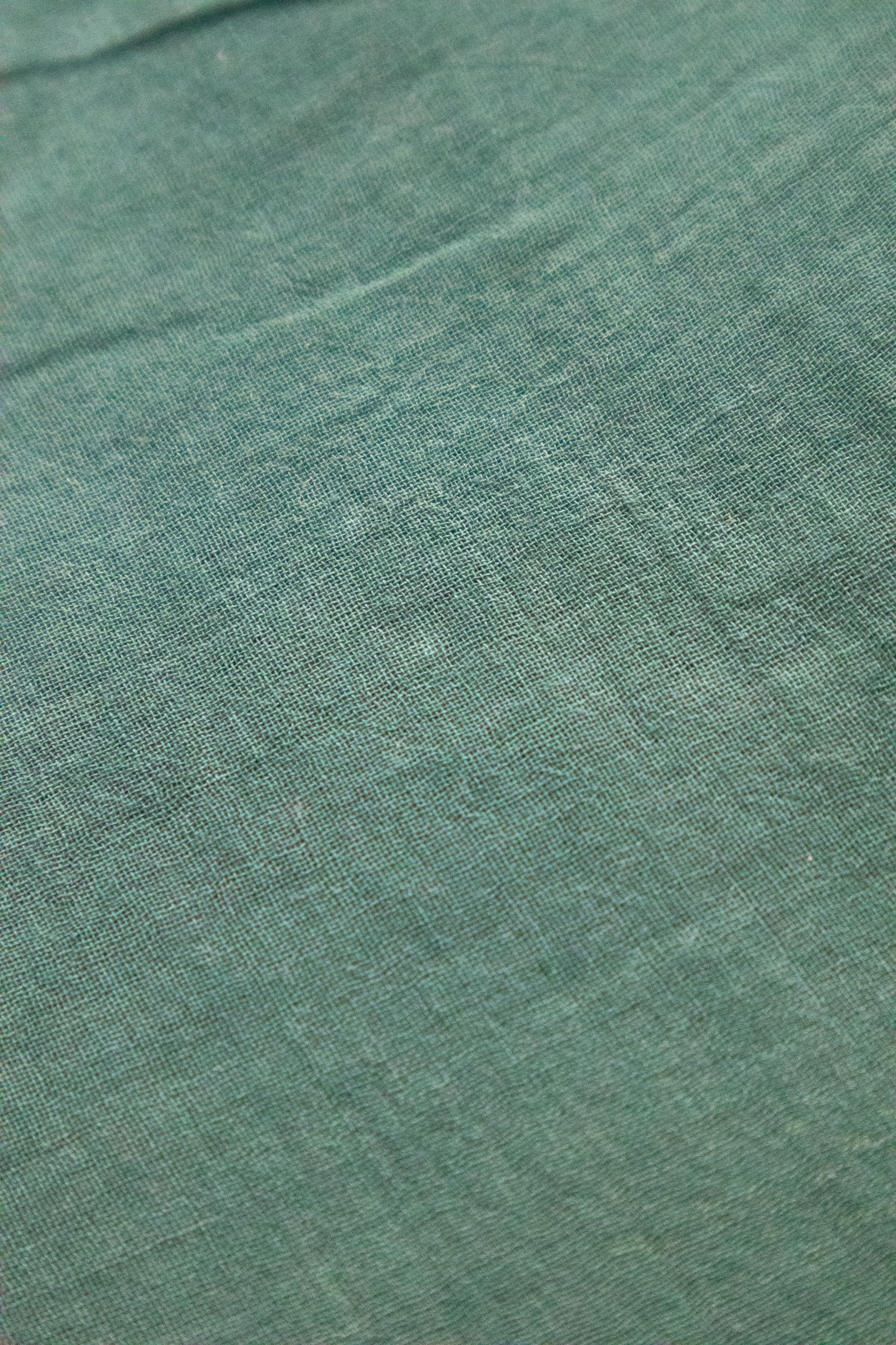 Evergreen Elegance TLR-160 I Bottle Green Handloom Mul Cotton Saree with minimal Flaws