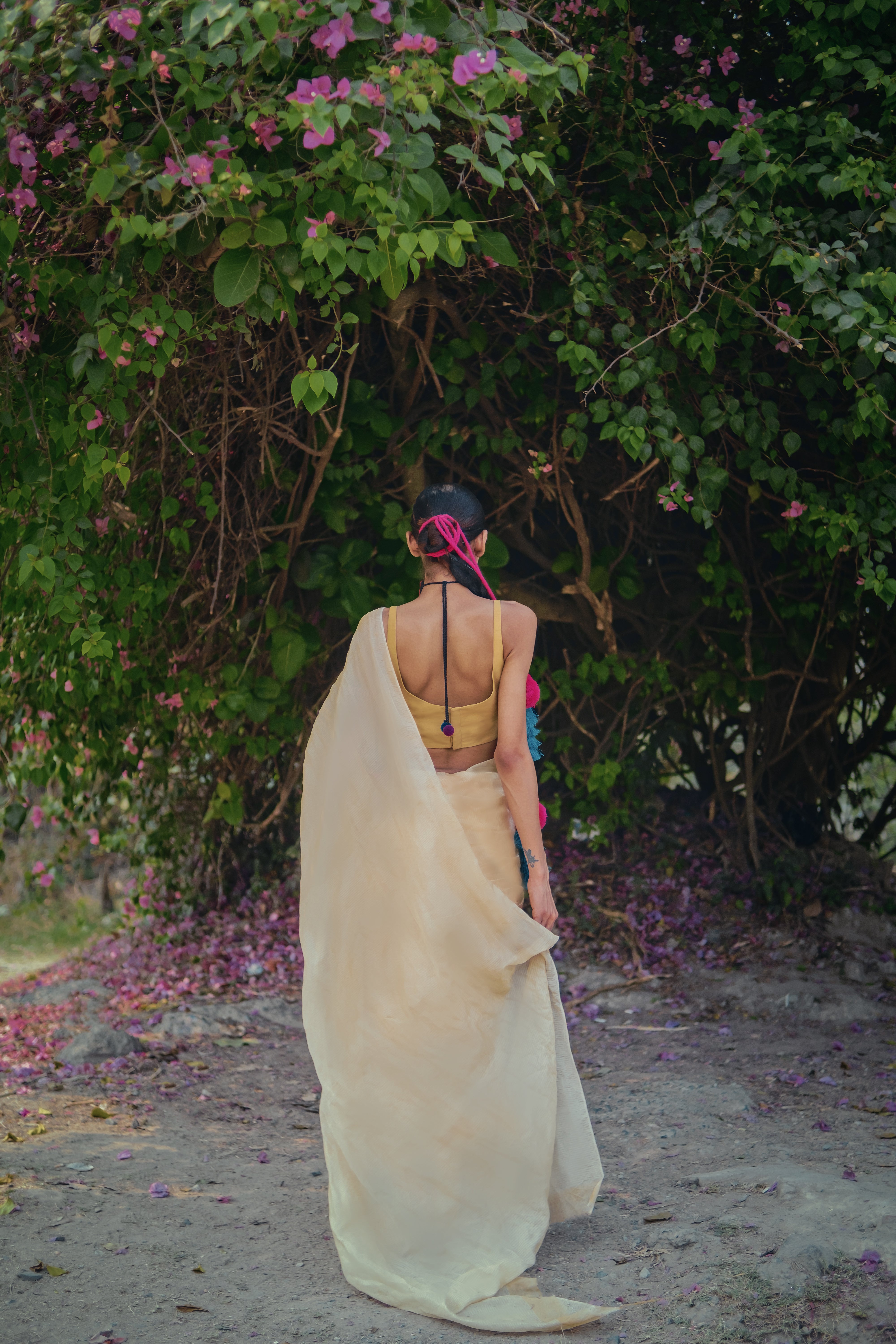 Mango ice gola TLR-408