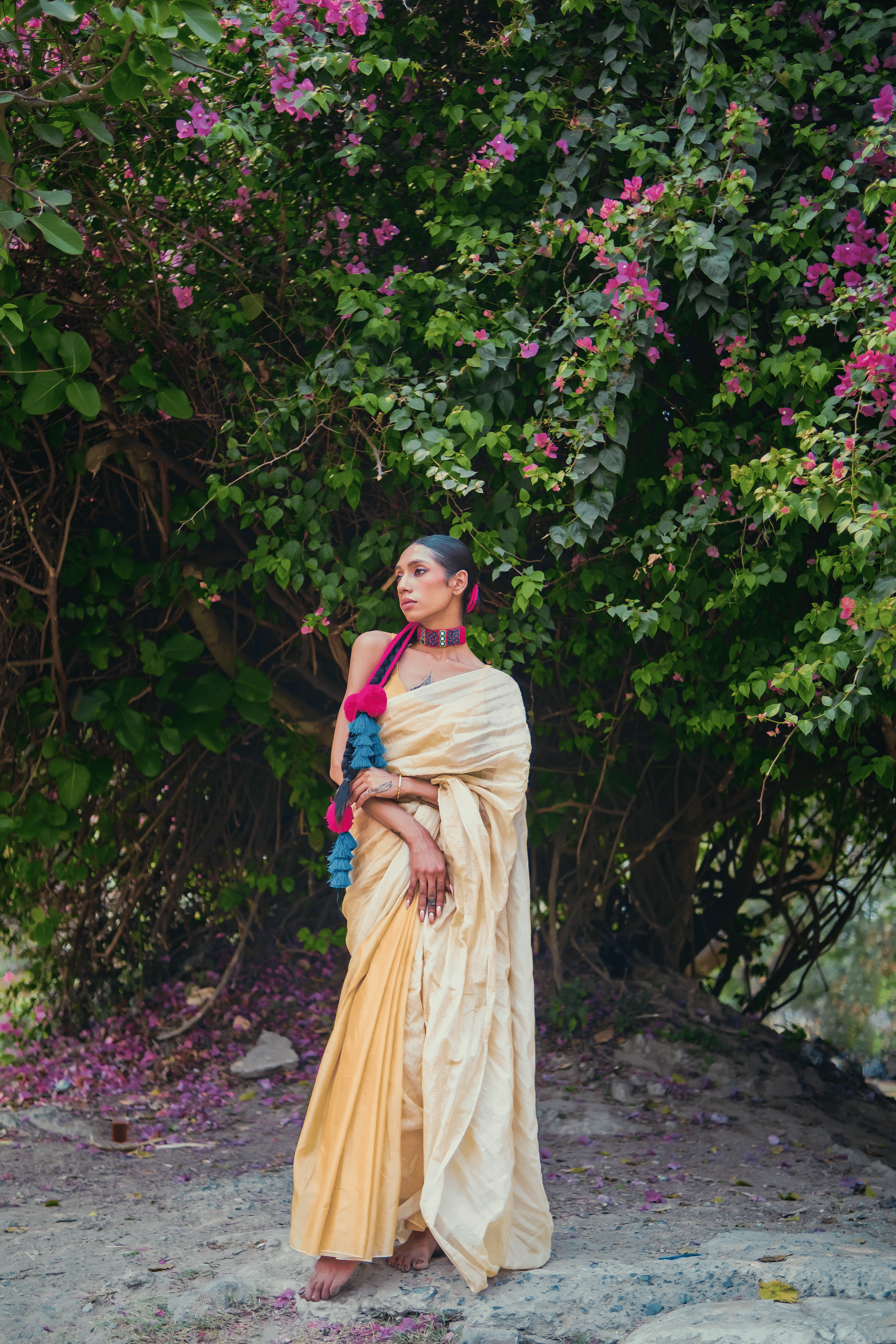 Mango ice gola TLR-408