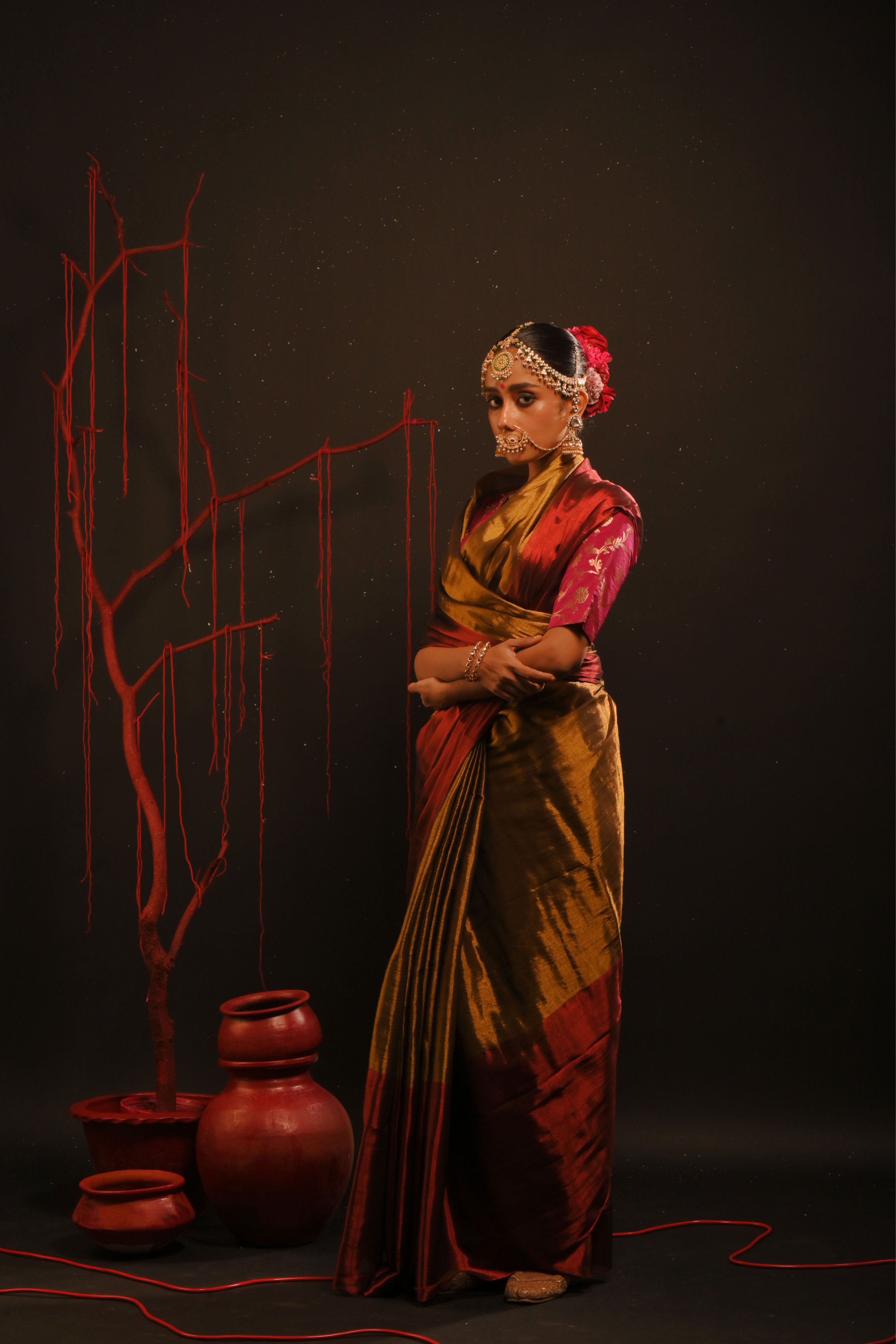 Yagnika I Gold handwoven tissue saree with red border