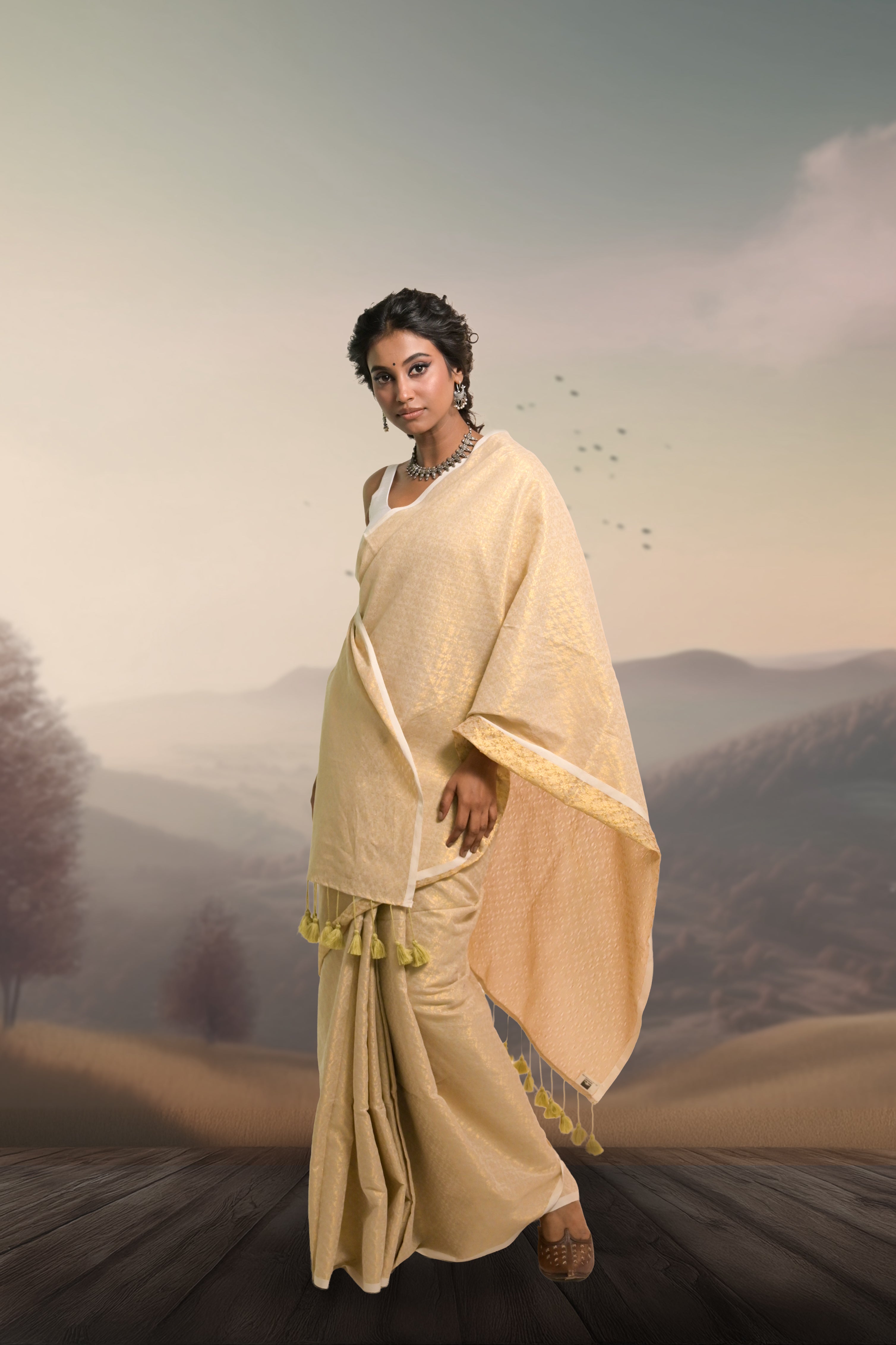 handloom-ivory-coloured-cotton-brocade-saree