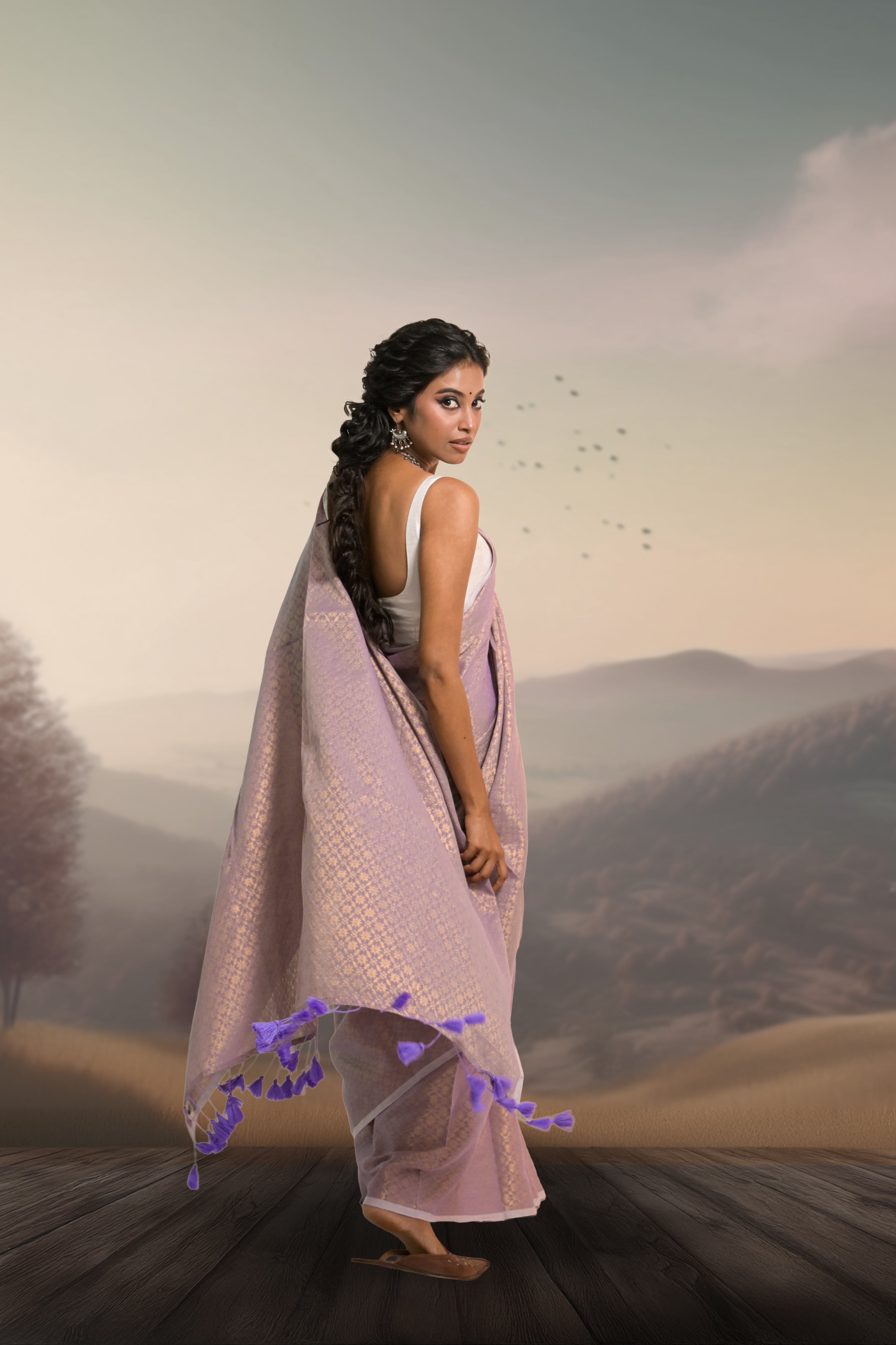 laender-coloured-brocade-saree