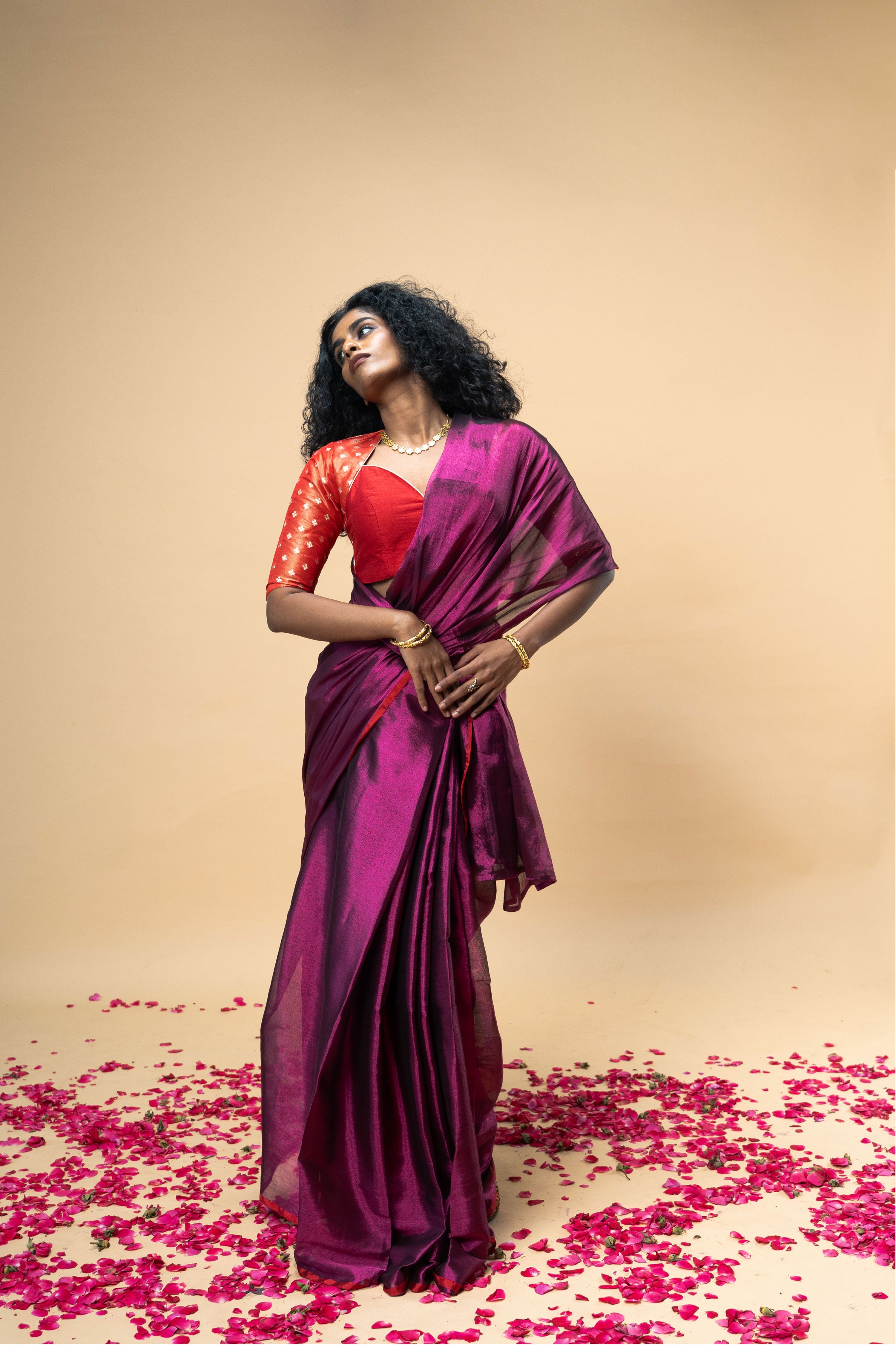 purple-handwoven-tissue-saree-with-red-border