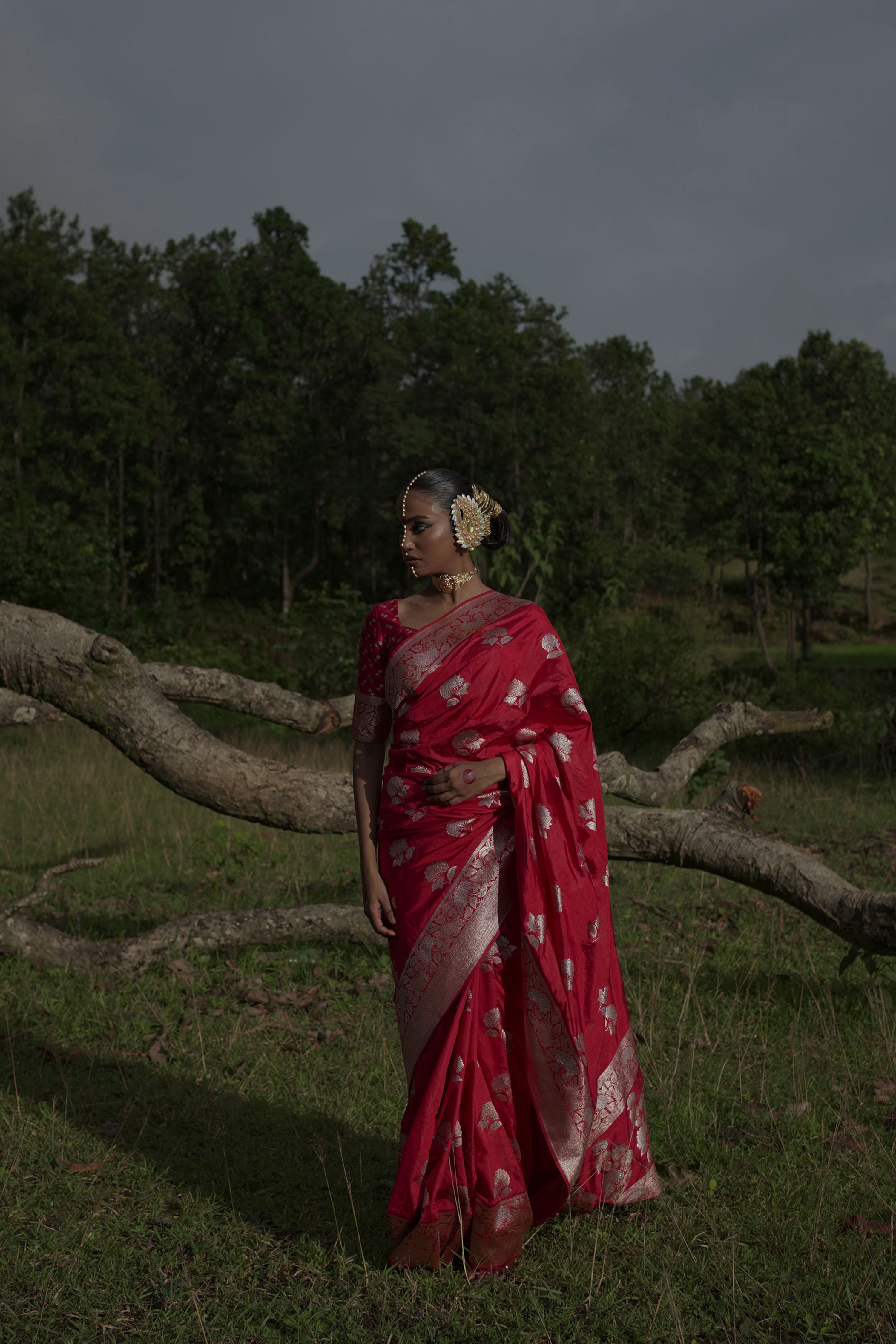 red-handwoven-katansilk-banarasi-saree-with-floral-motifs