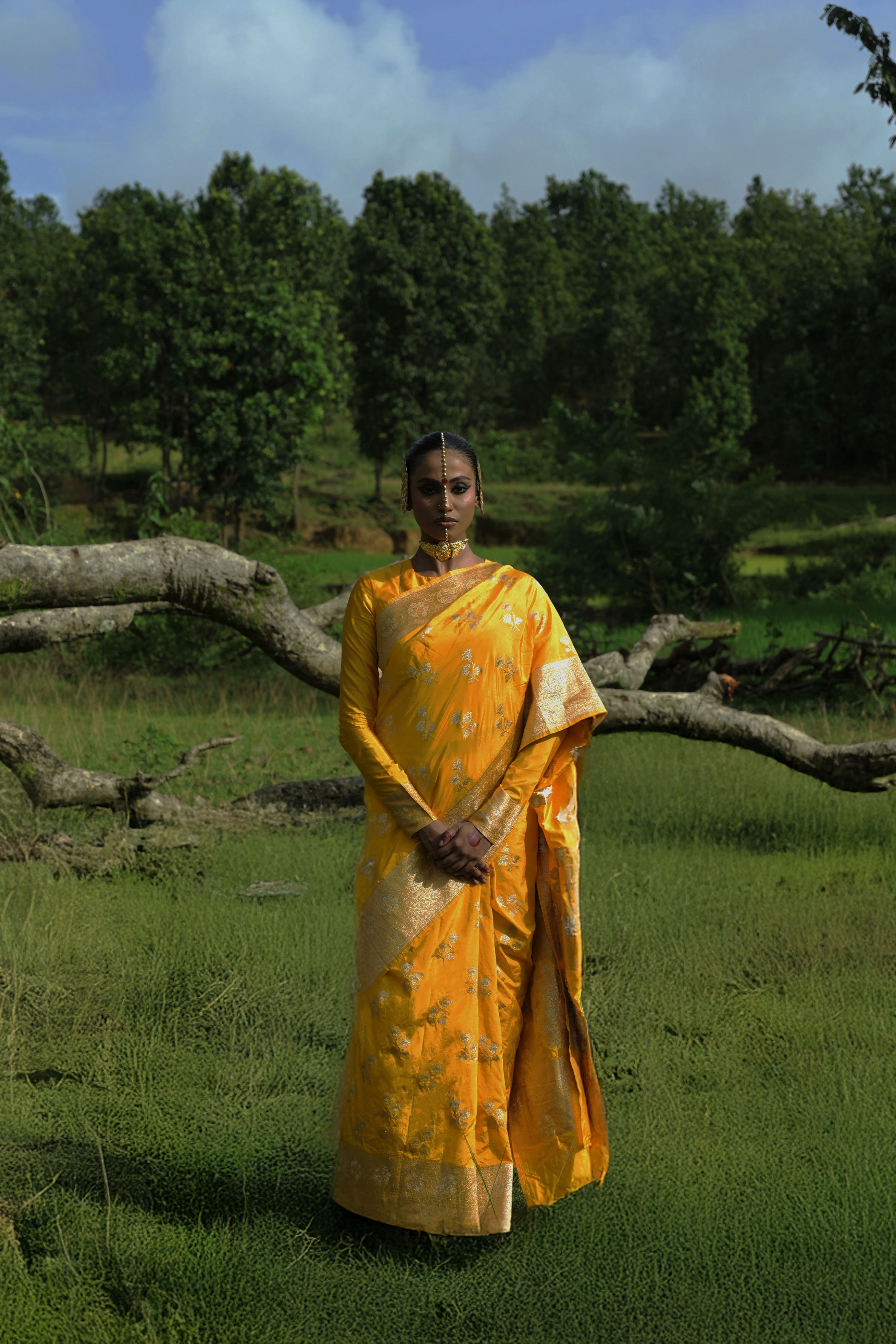yellow-coloured-banarasi-saree-with-floral-butis-ollover-saree