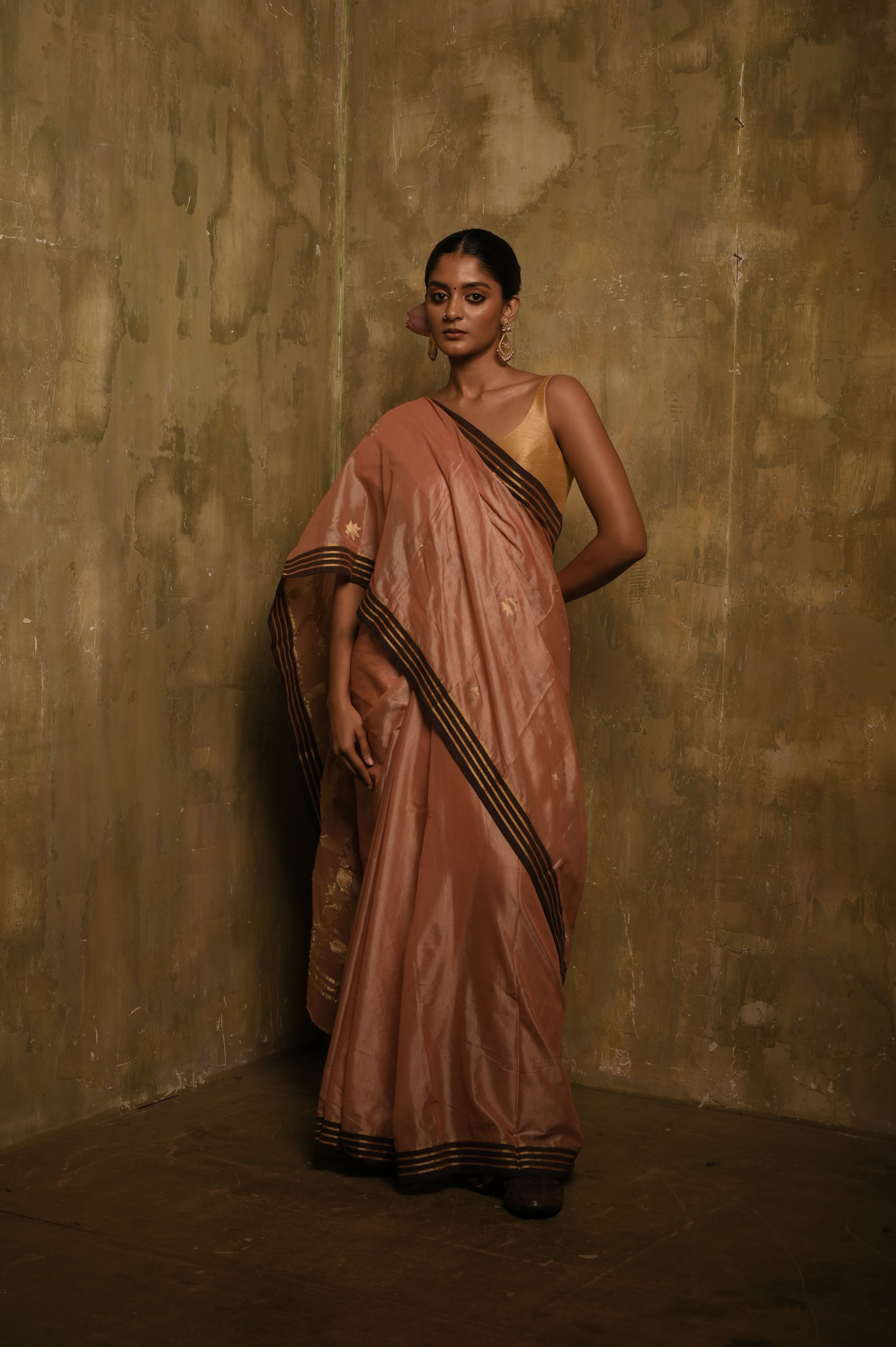 Sheesh Mahal TLR-417