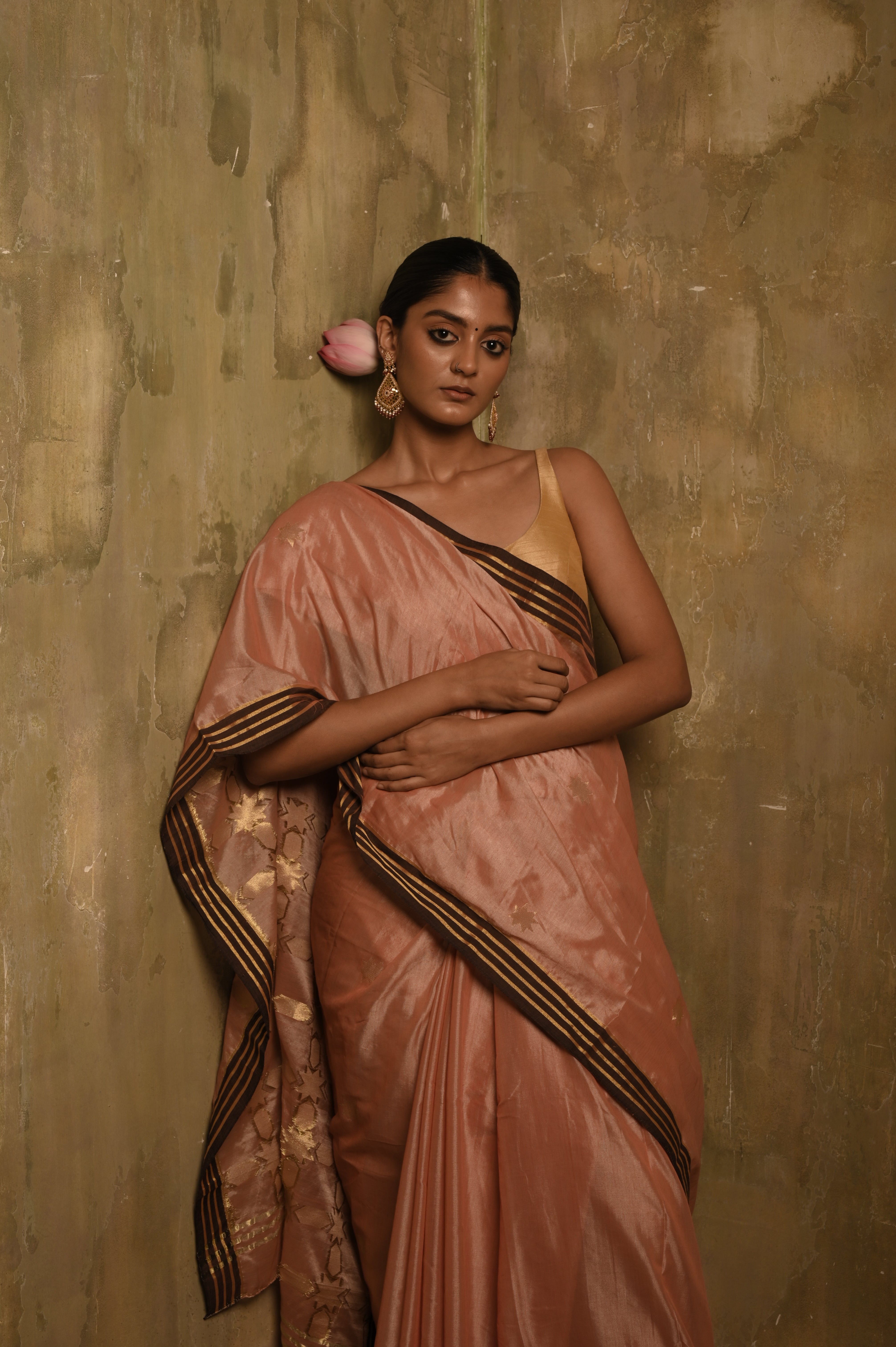 Sheesh Mahal TLR-417