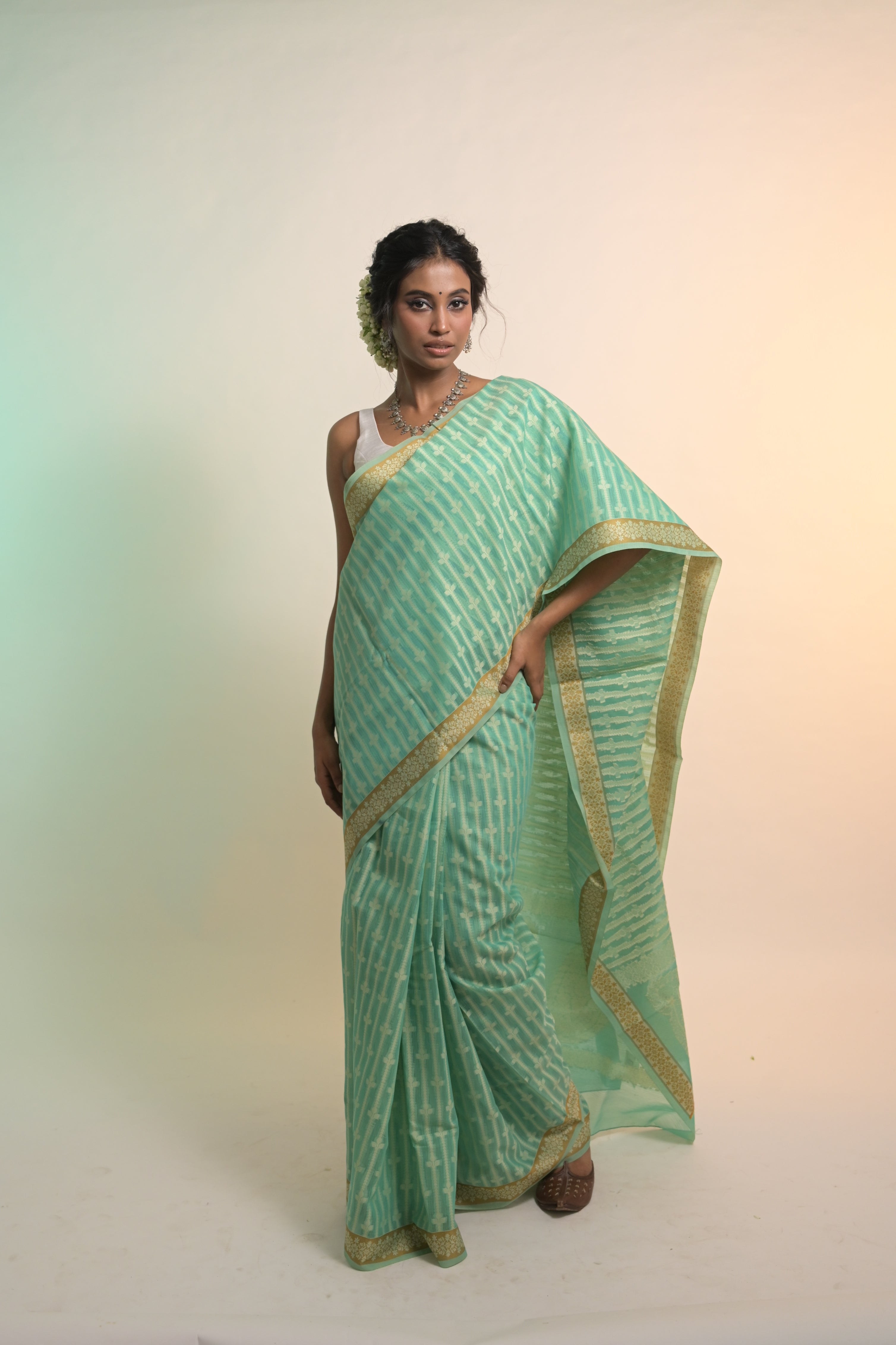 Amaaya I Sea Green Handloom Cotton Banarasi Saree with Floral Border and striped leave vines