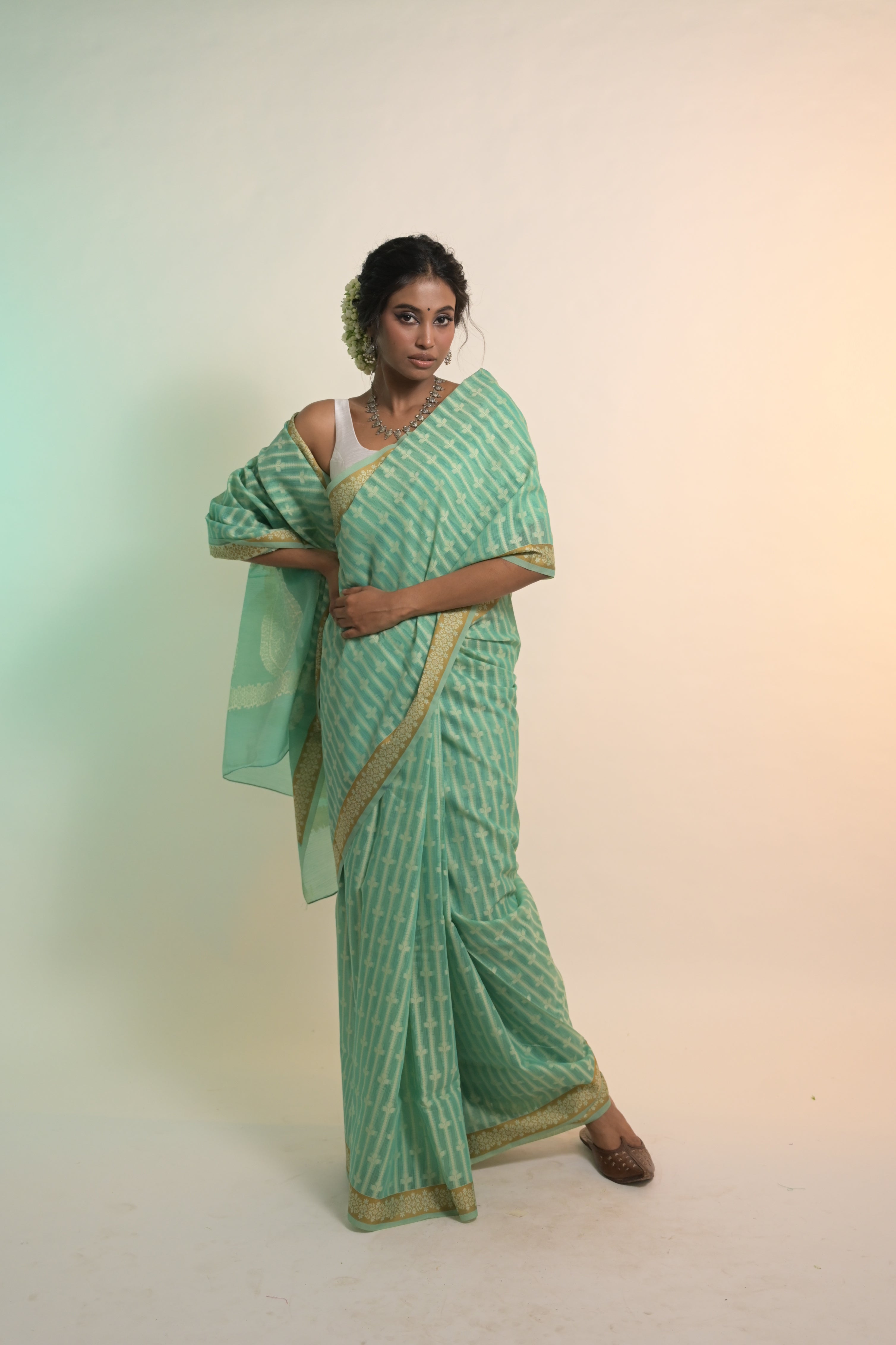 Amaaya I Sea Green Handloom Cotton Banarasi Saree with Floral Border and striped leave vines