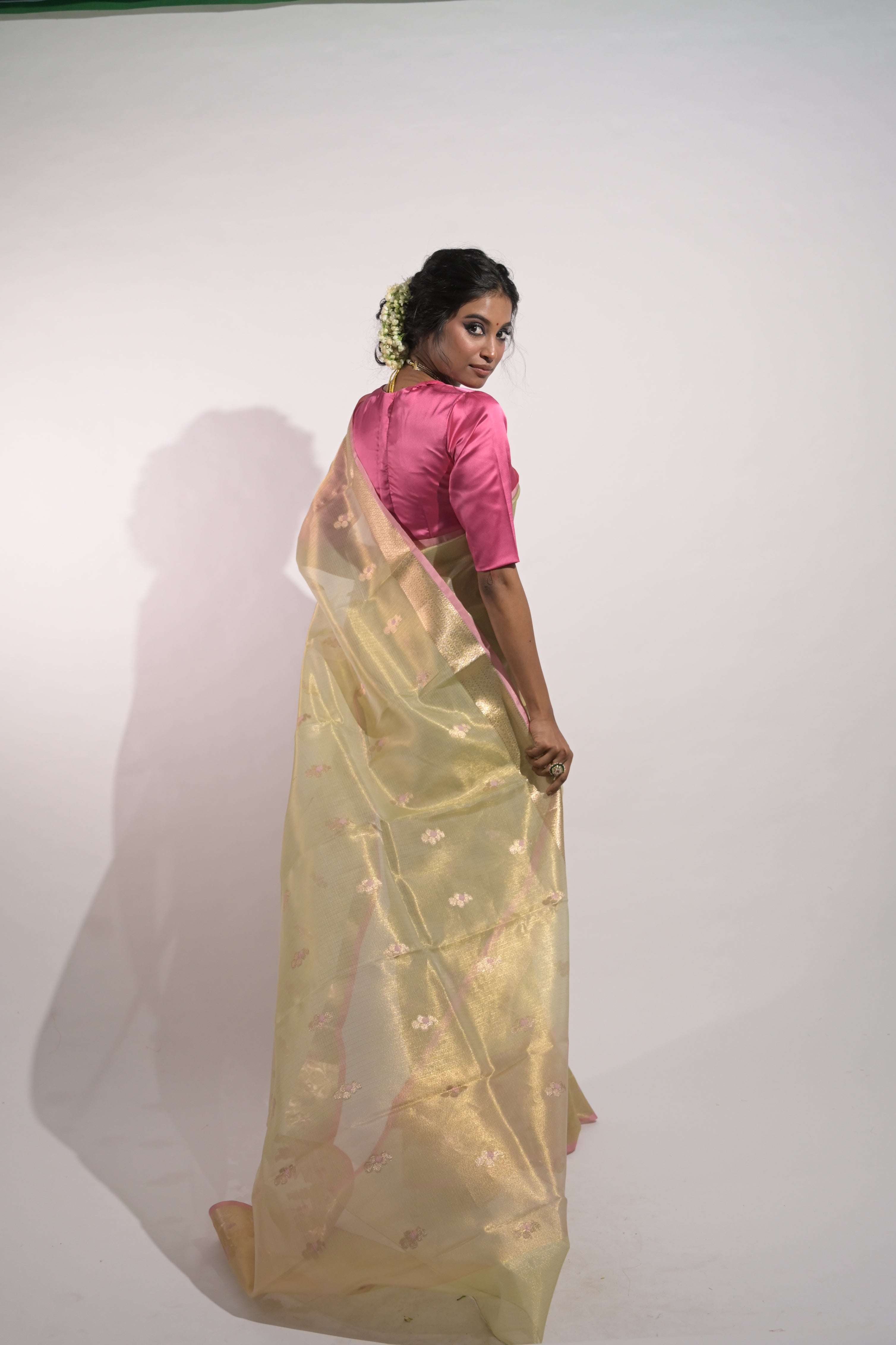 Aaranya I Pastel Green Handloom Tissue Kota Banarasi Saree