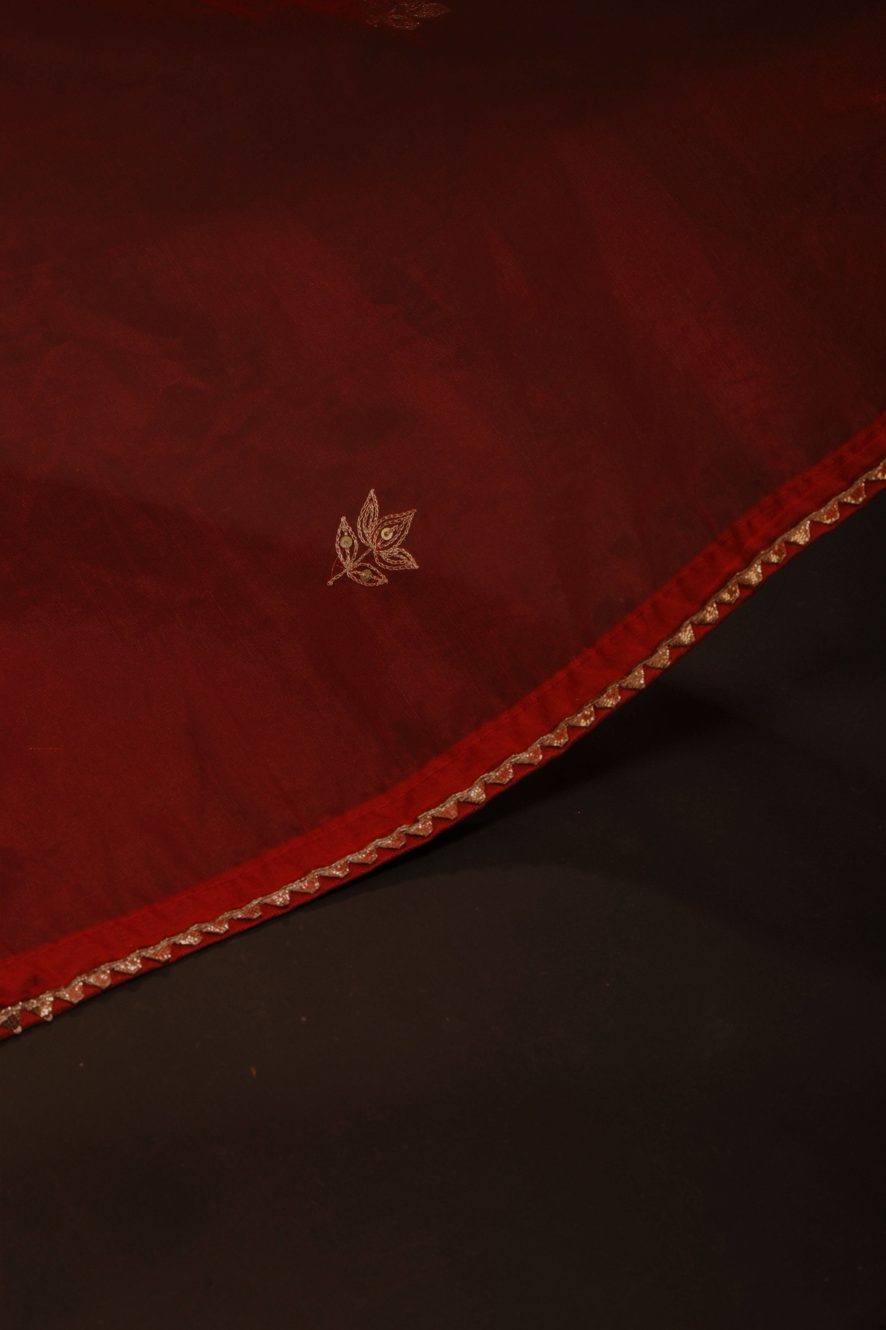 Mihana I Red organza saree with hand embroidedrd floral motifs and samosa lace border