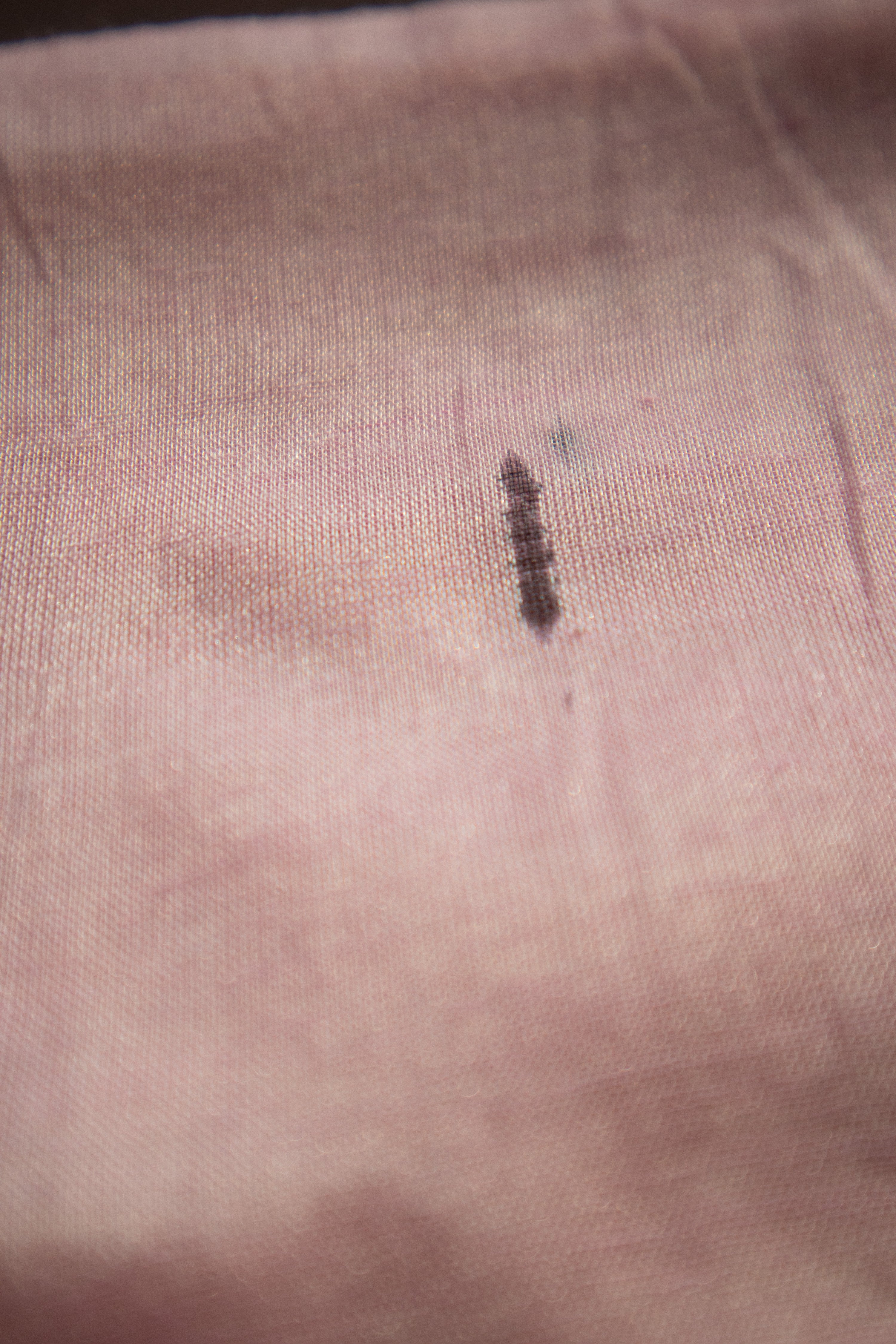 Strawberry Ice Gola TLR-211 I Pink Handloom Cotton Silk Saree with minimal Flaws