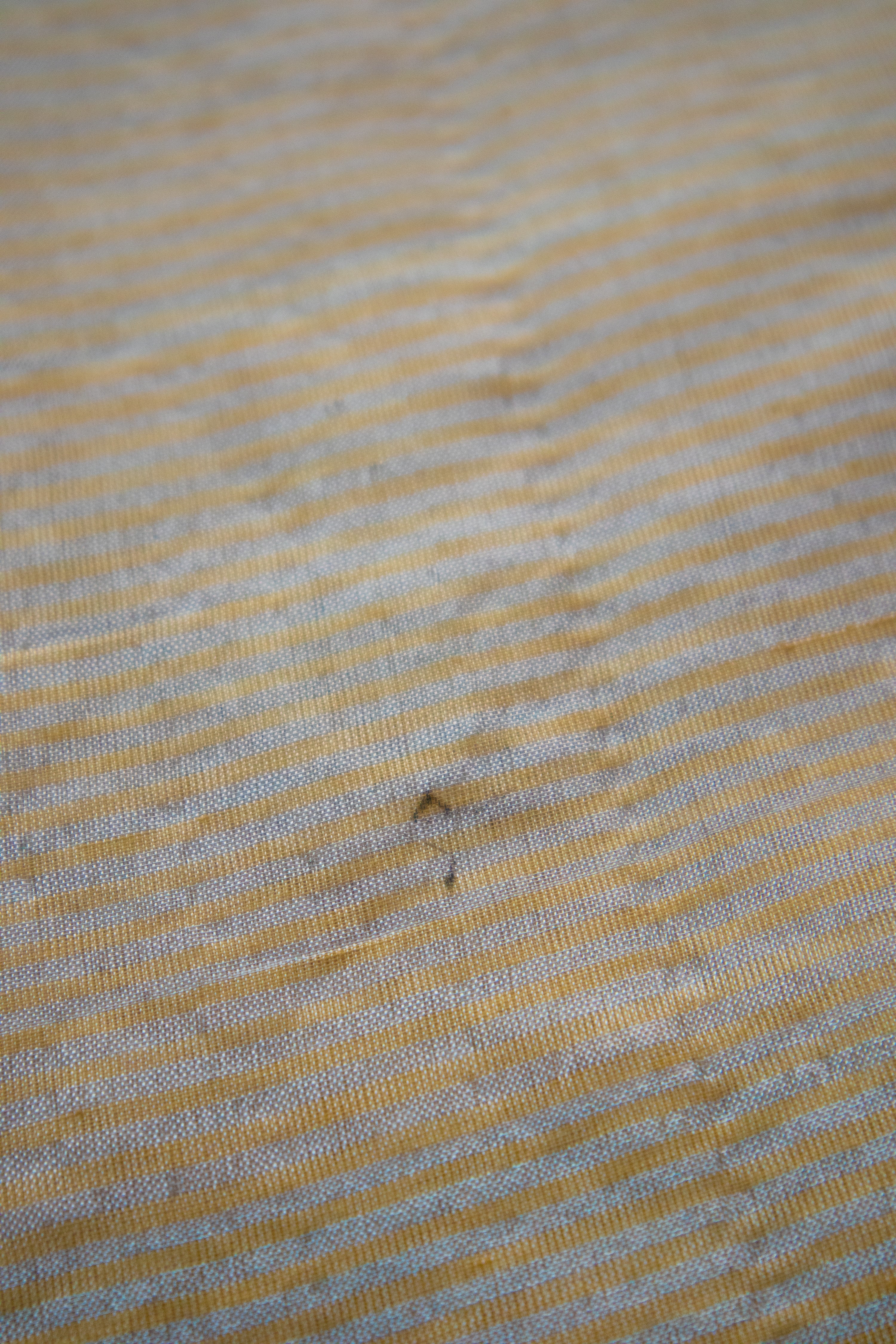 Mango ice gola TLR-408