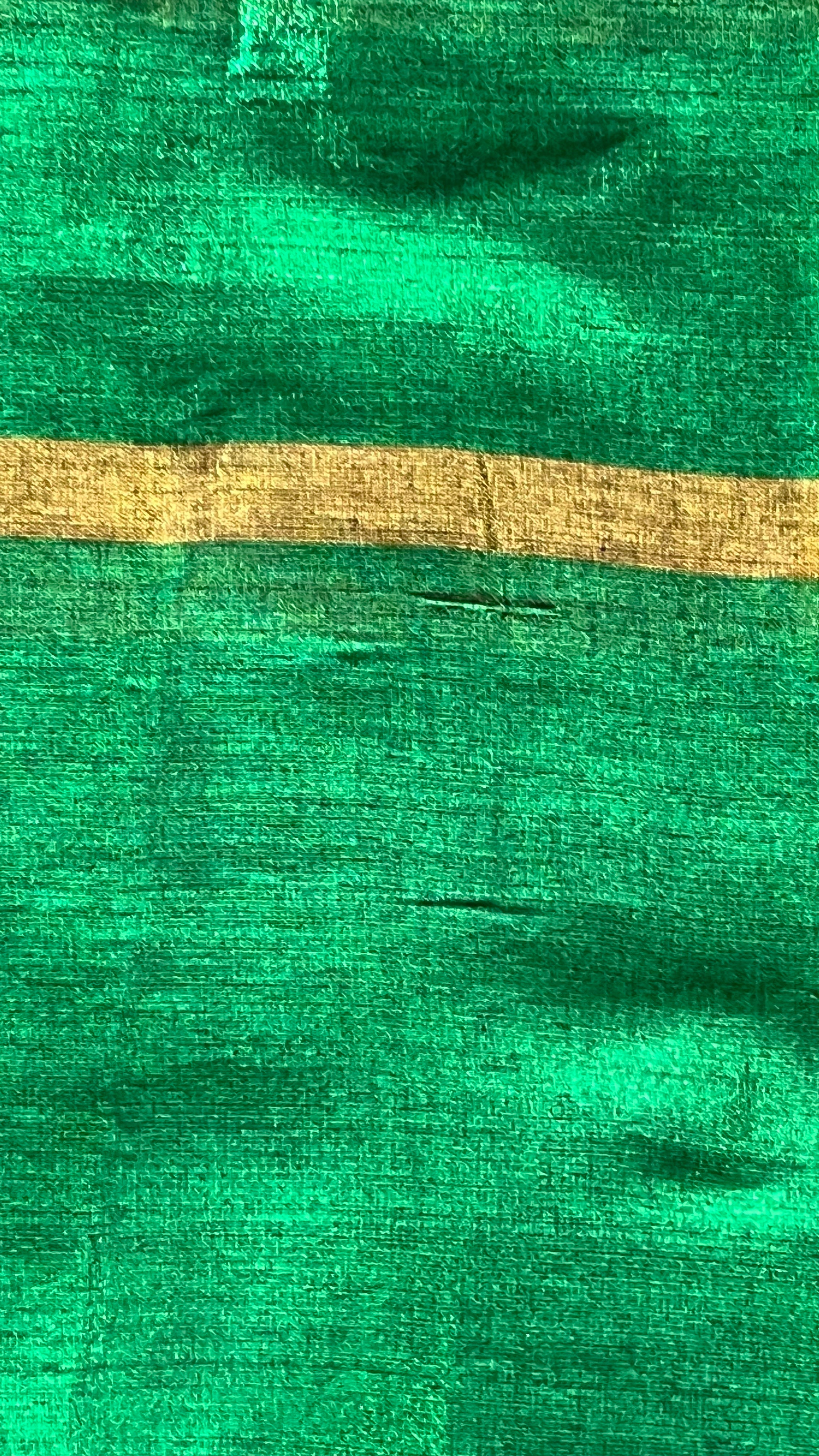 Chitrani saree l TLR-563