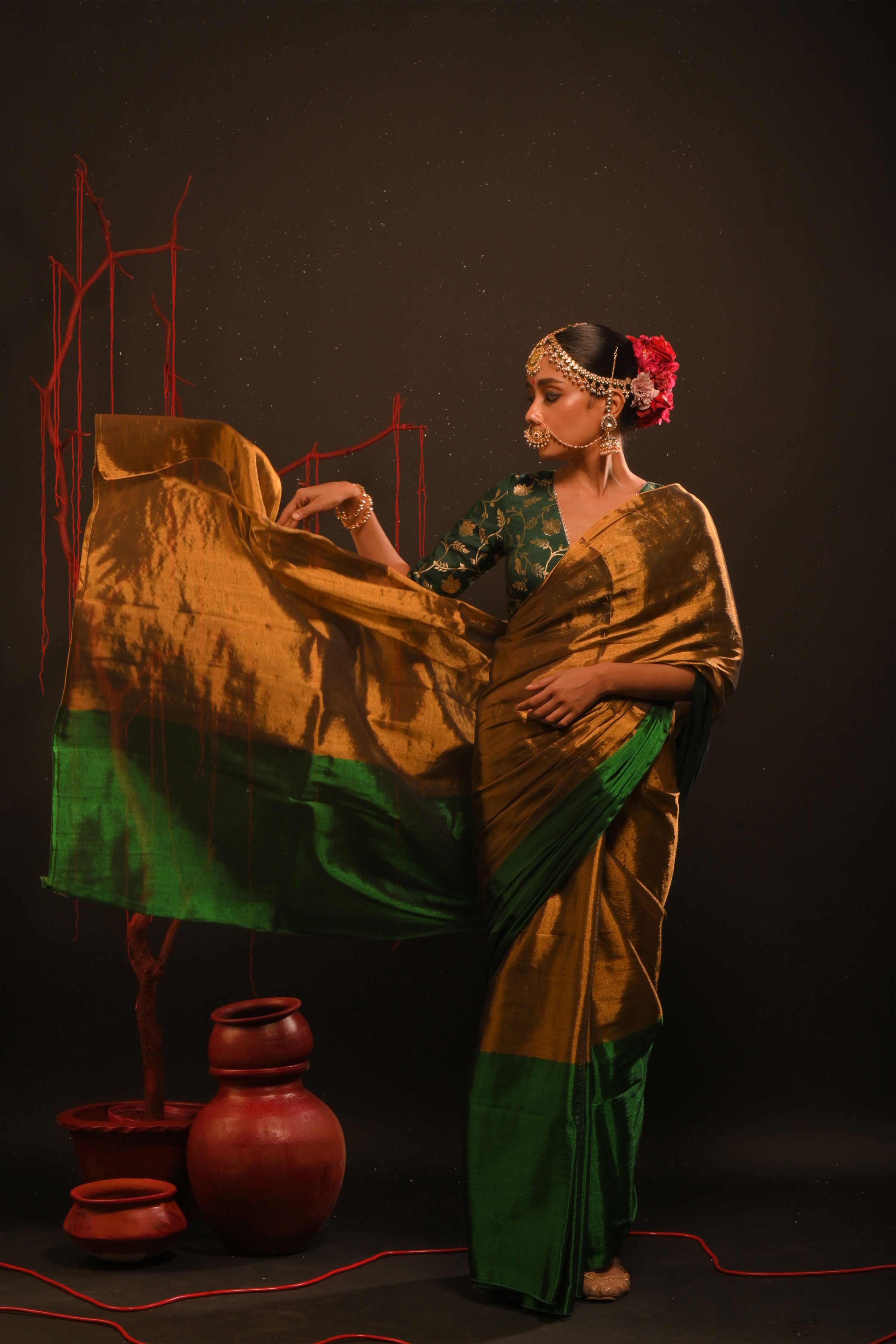 Jaishree + Jaishika saree blouse combo