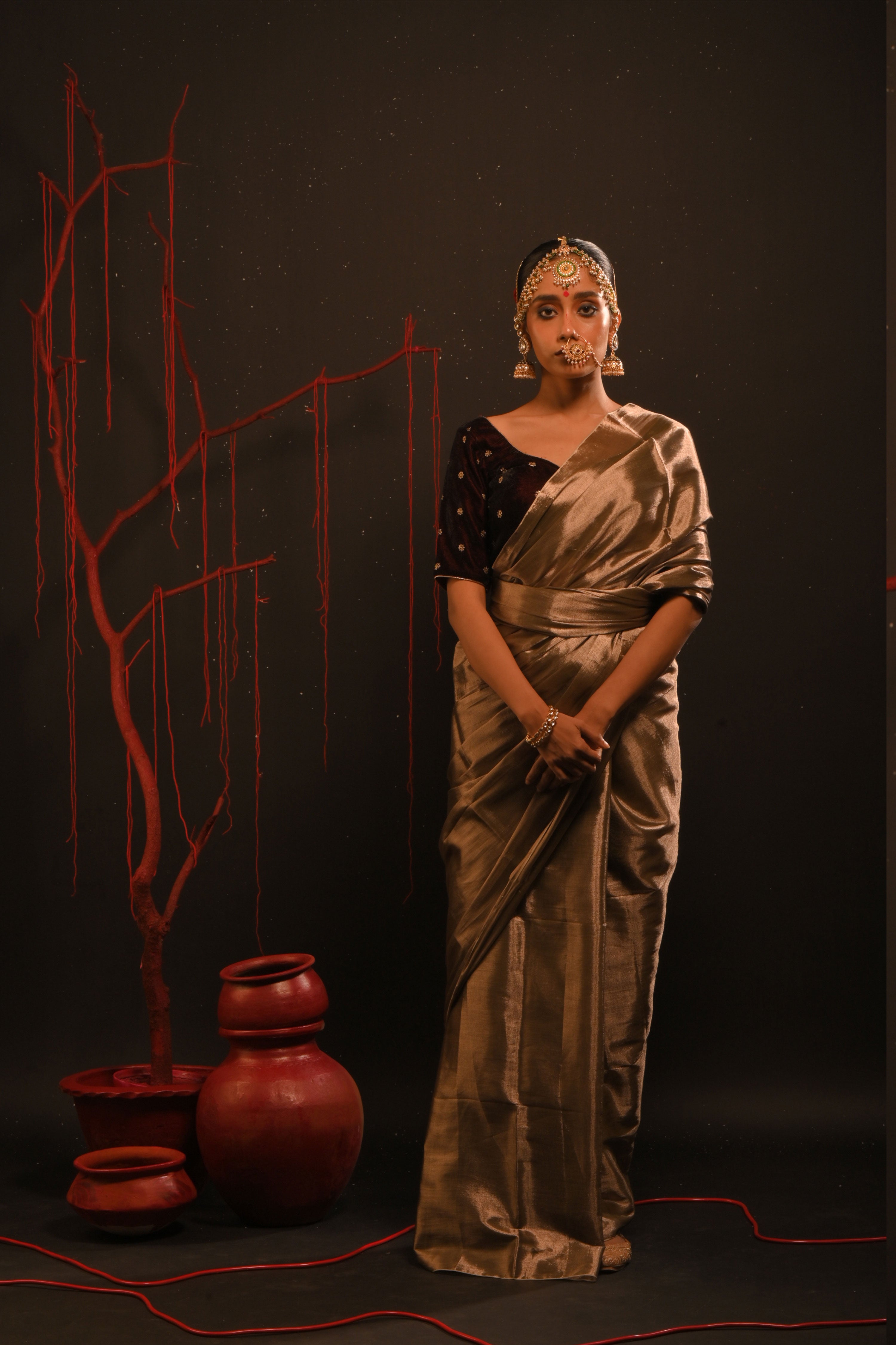 Rajshree + Maroon Sitara saree blouse combo