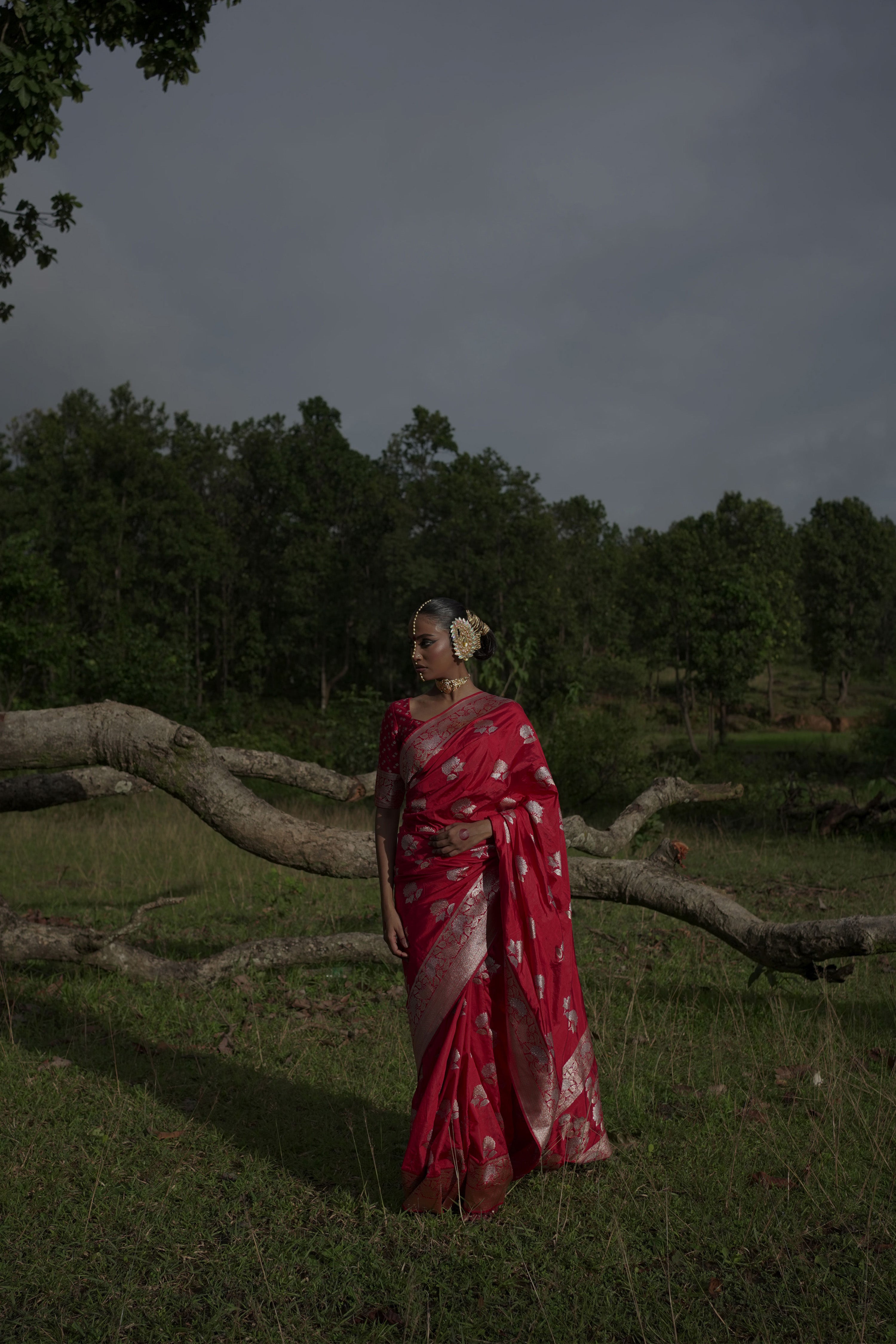 Ranangana I Red Handwoven Katan Banarasi Saree with Floral Jaal Zari Border and Geranium Motifs