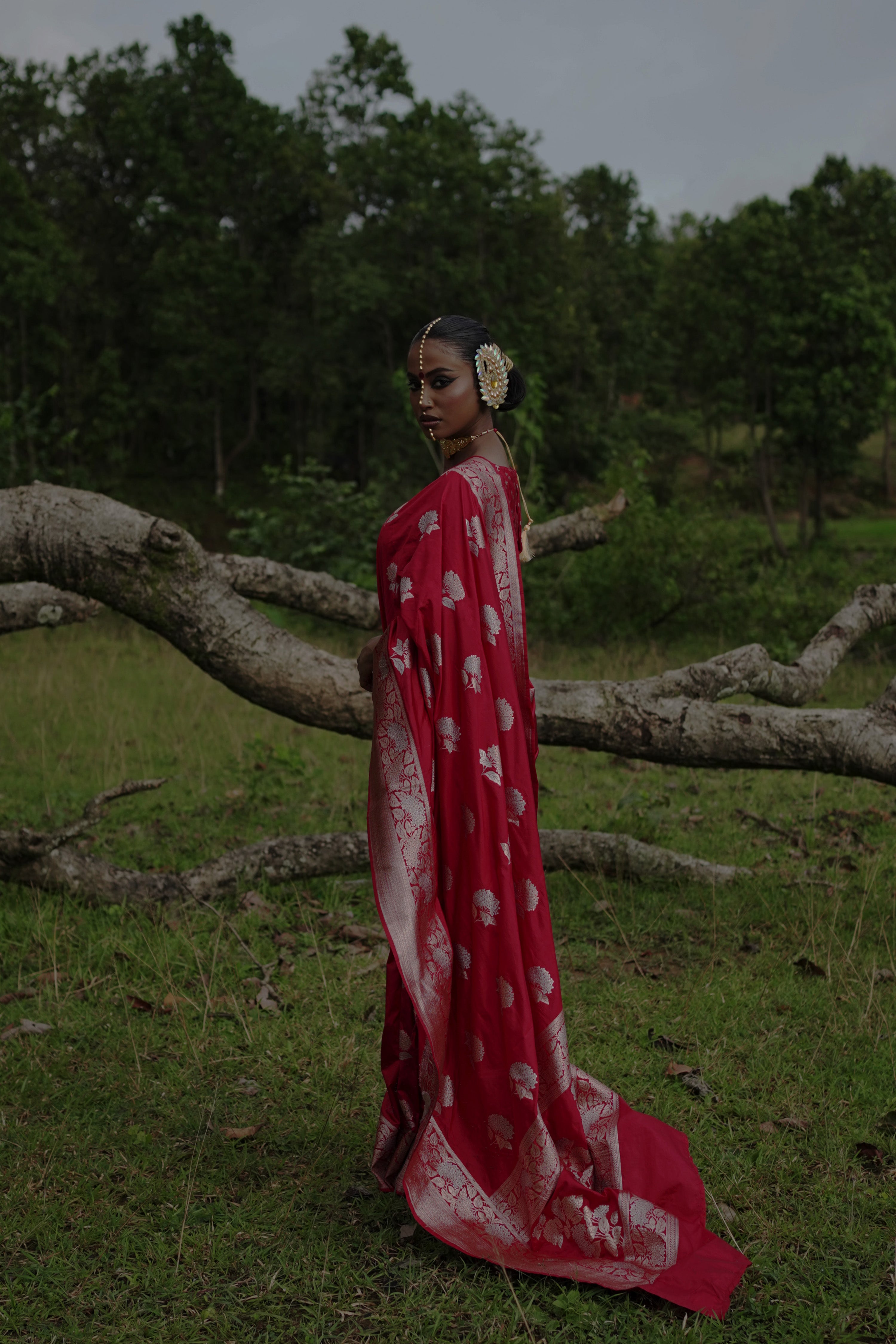Ranangana I Red Handwoven Katan Banarasi Saree with Floral Jaal Zari Border and Geranium Motifs