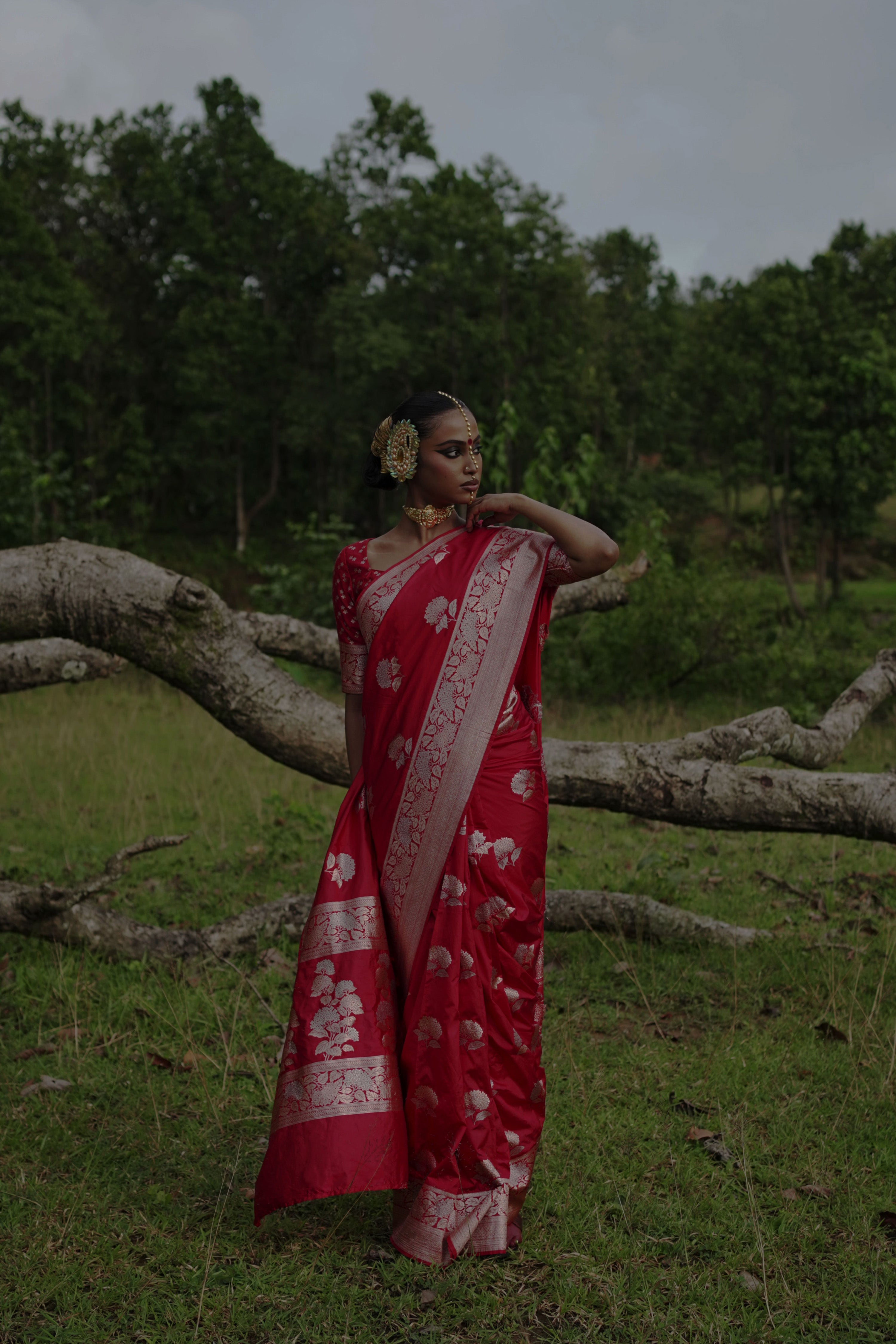 Ranangana I Red Handwoven Katan Banarasi Saree with Floral Jaal Zari Border and Geranium Motifs