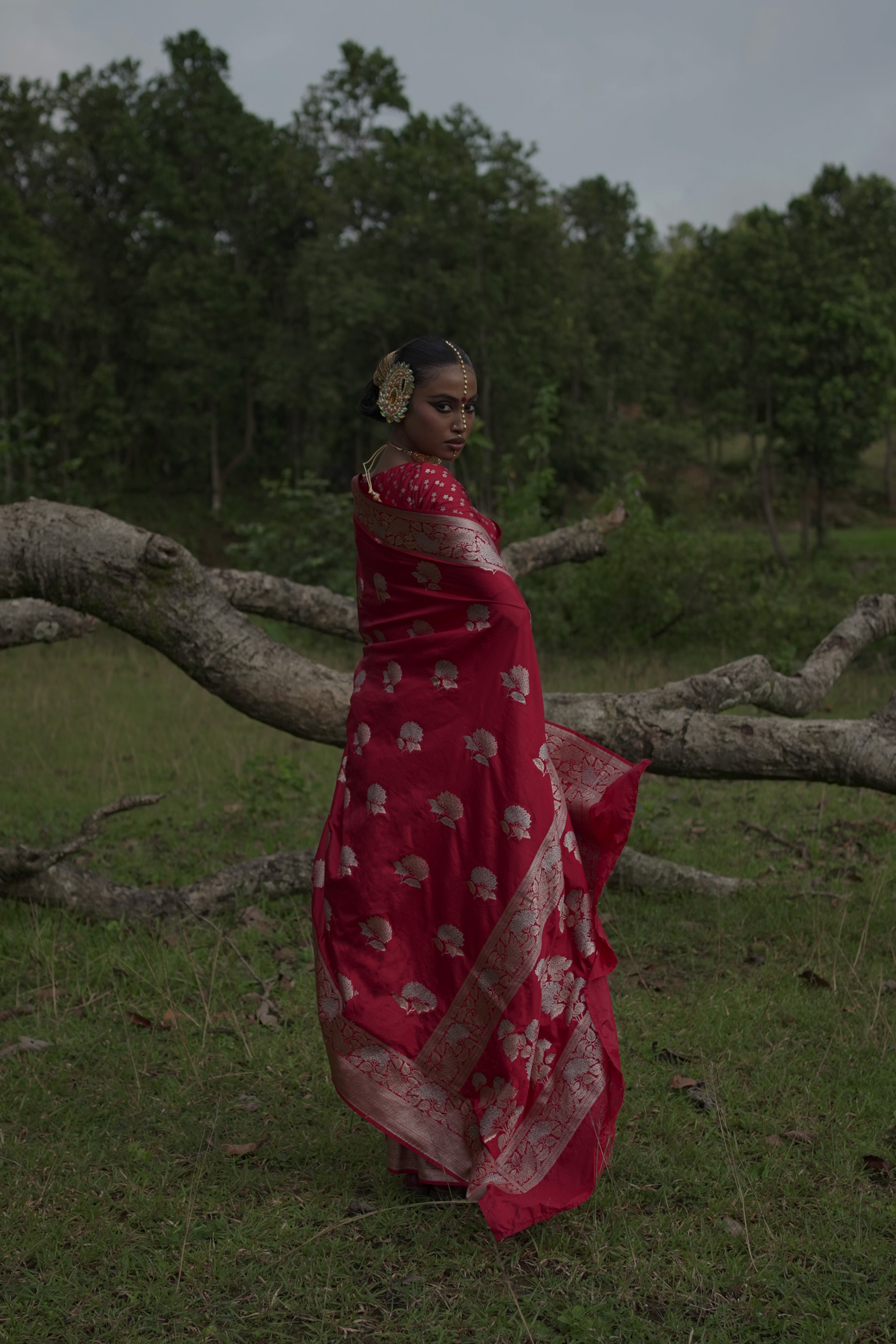 Ranangana I Red Handwoven Katan Banarasi Saree with Floral Jaal Zari Border and Geranium Motifs