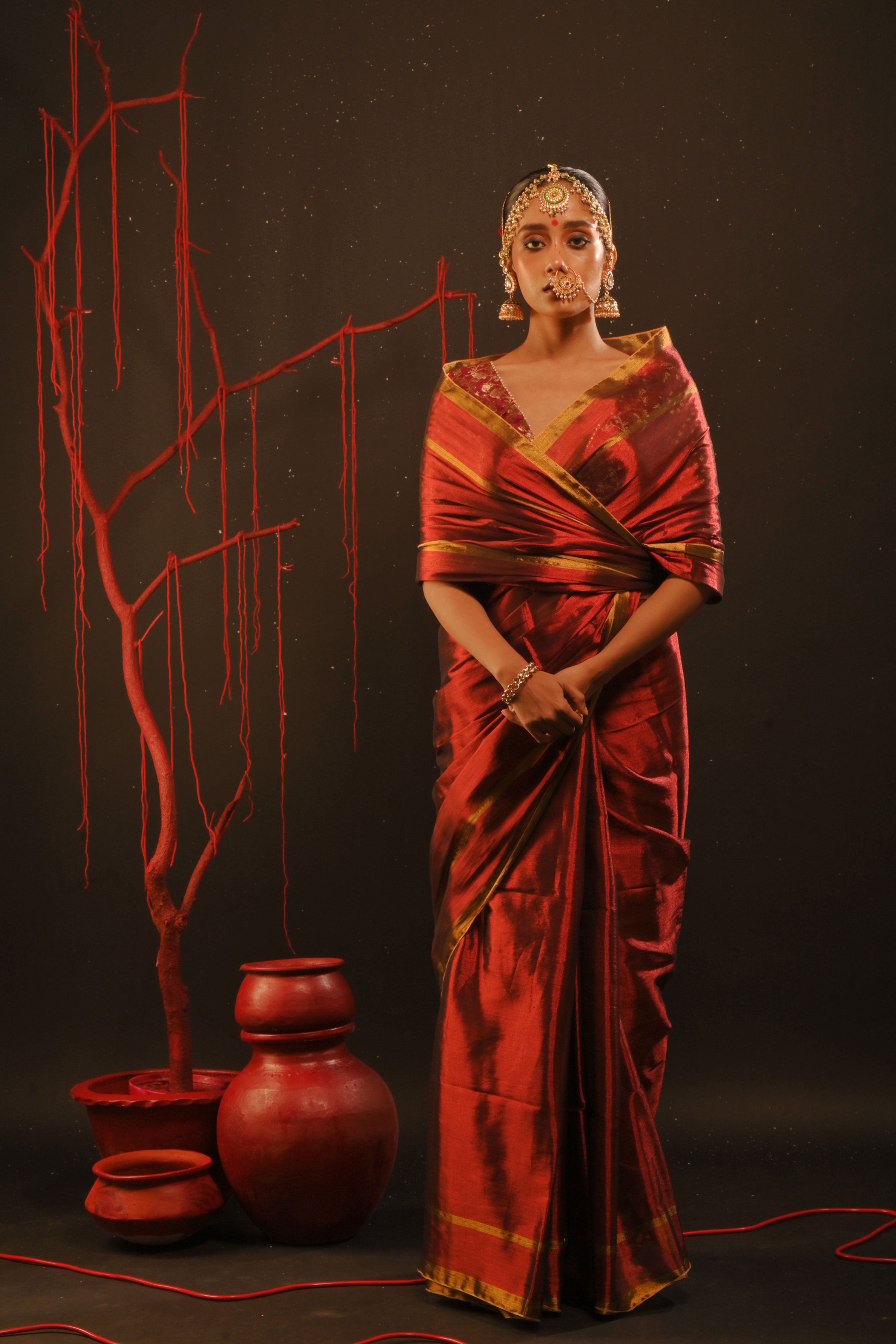 Daivika I Red handwoven tissue saree with gold striped border