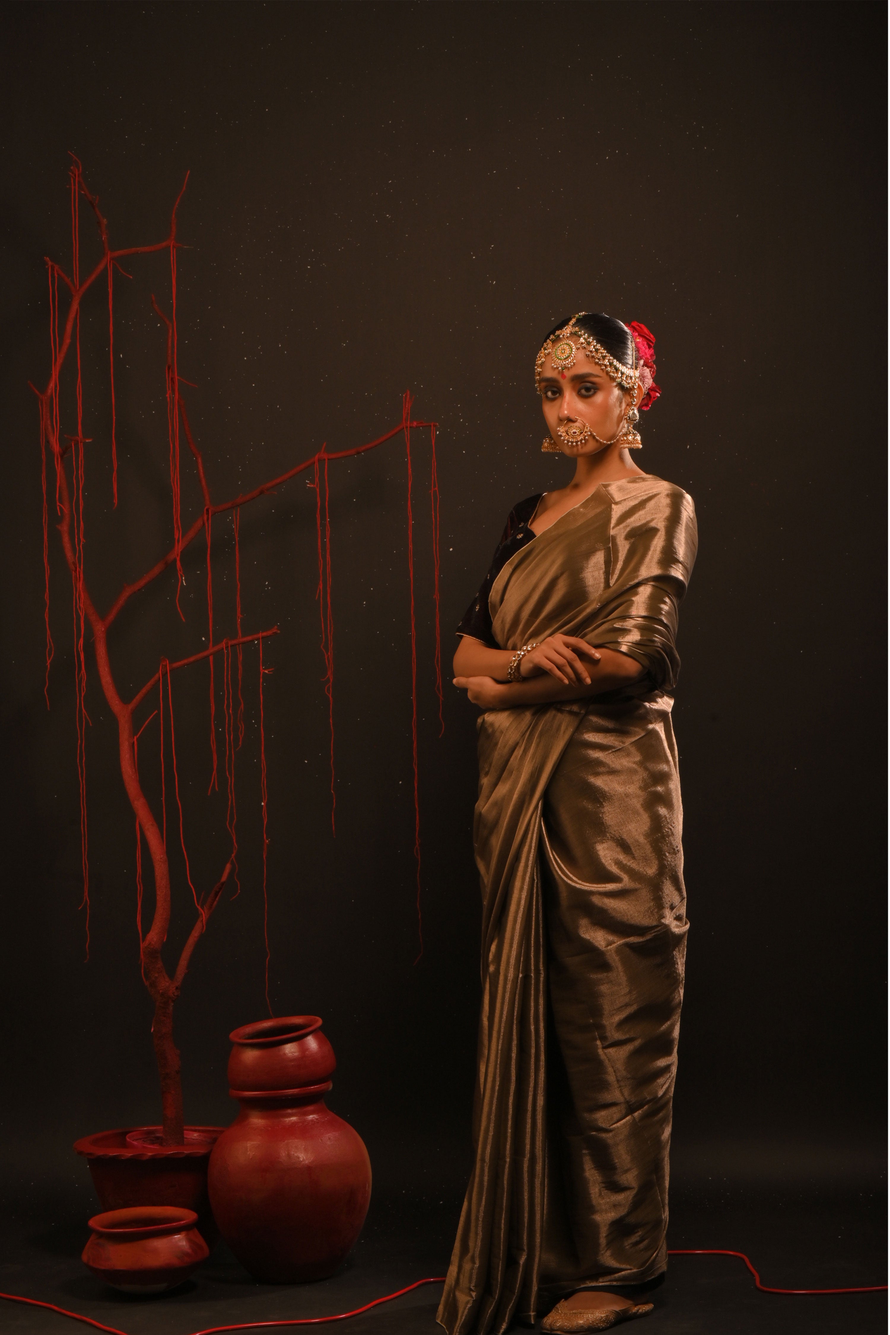 Rajshree I Bronze gold handloom tissue saree