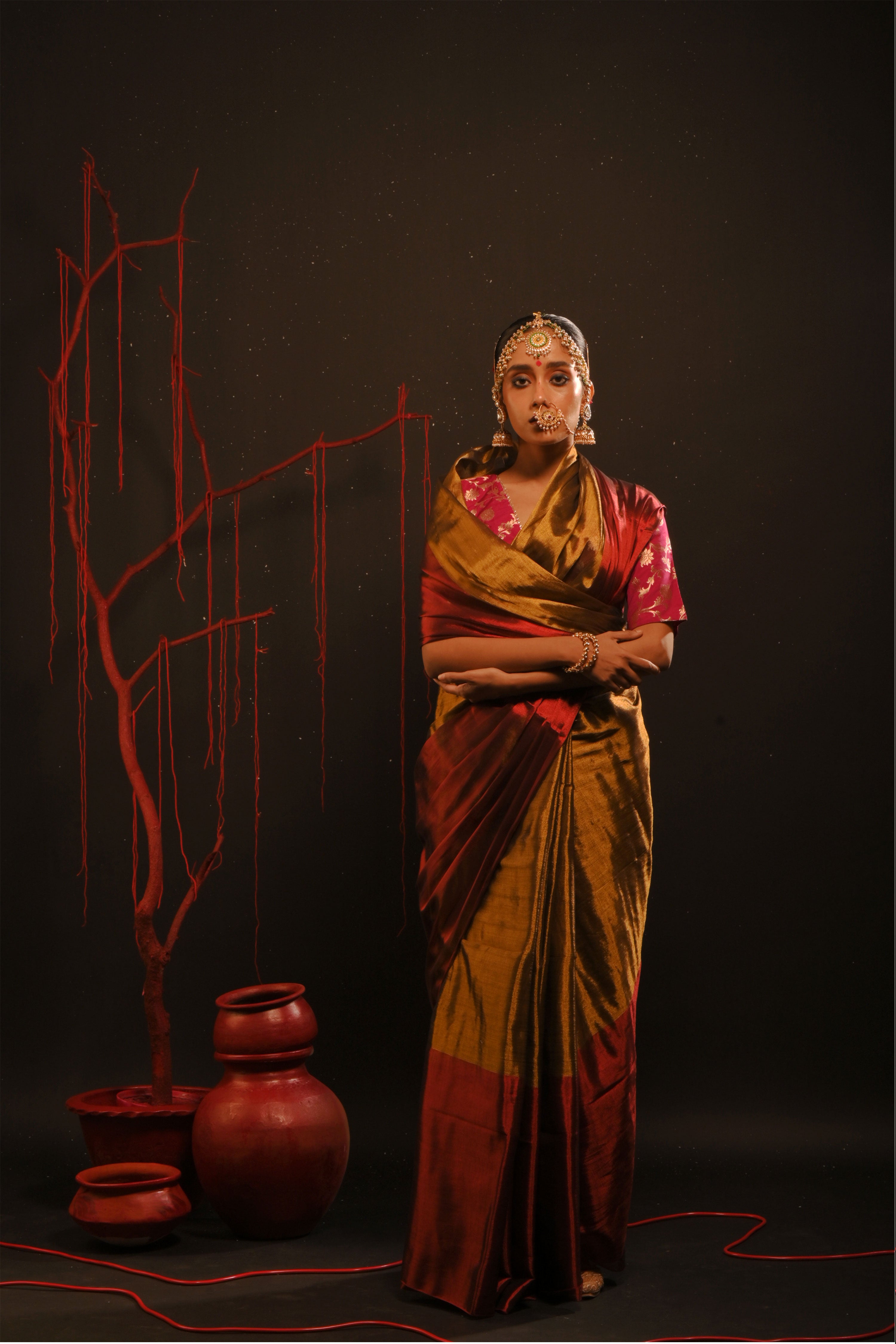 Yagnika I Gold handwoven tissue saree with red border