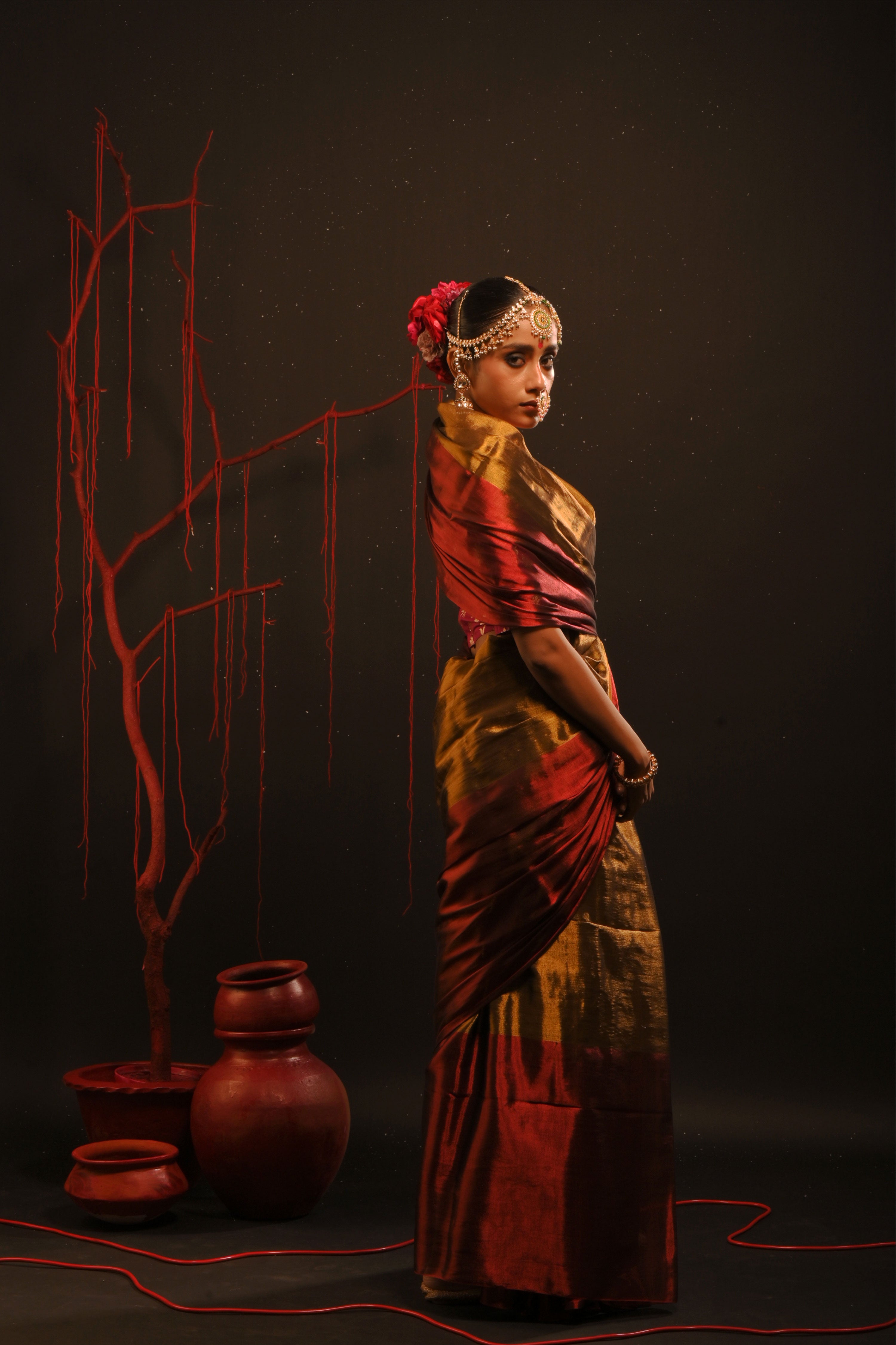 Yagnika I Gold handwoven tissue saree with red border