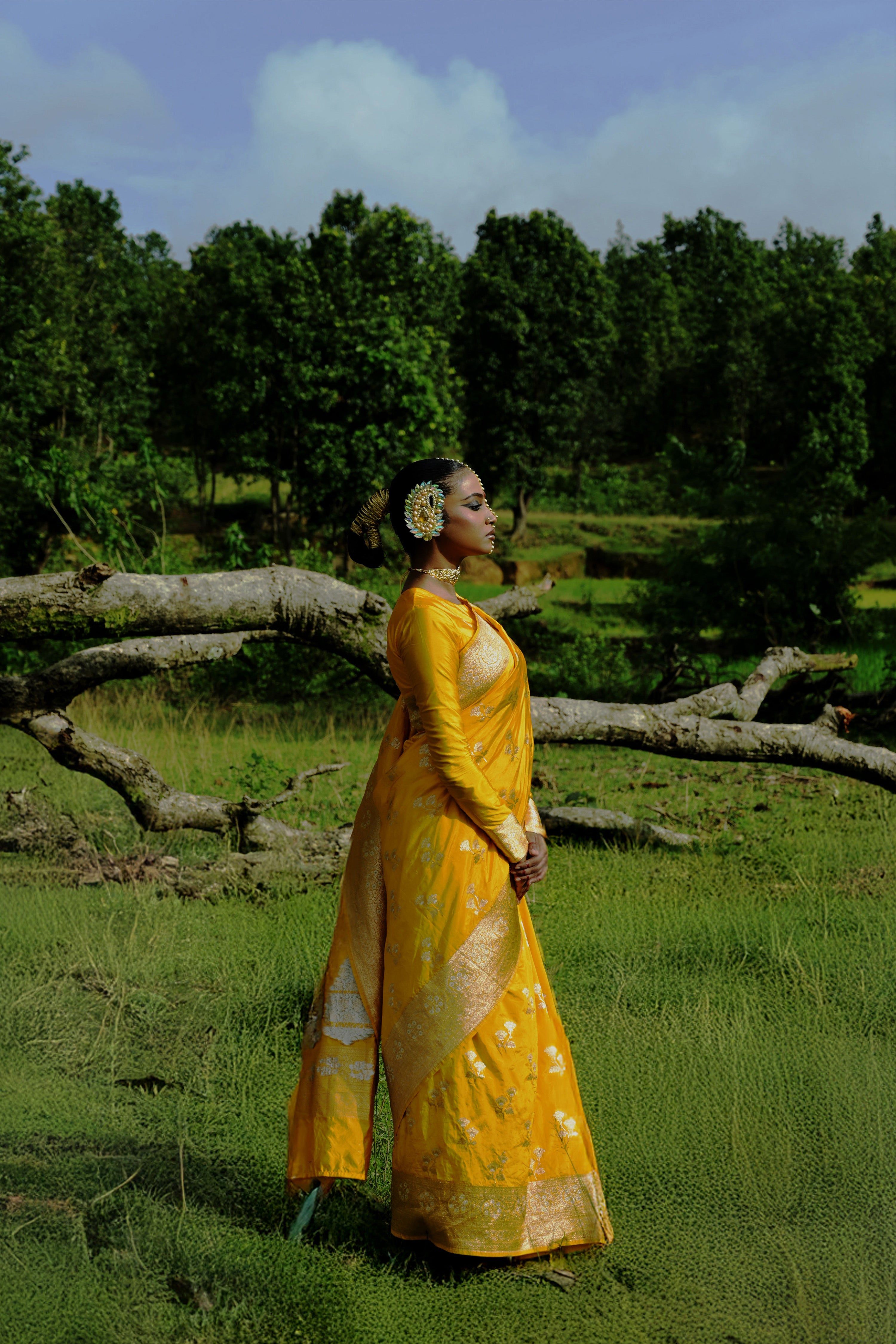 Mrignayani I Yellow Handloom Katan Banarasi Saree with Floral Jaal Zari Border and Floral Butis