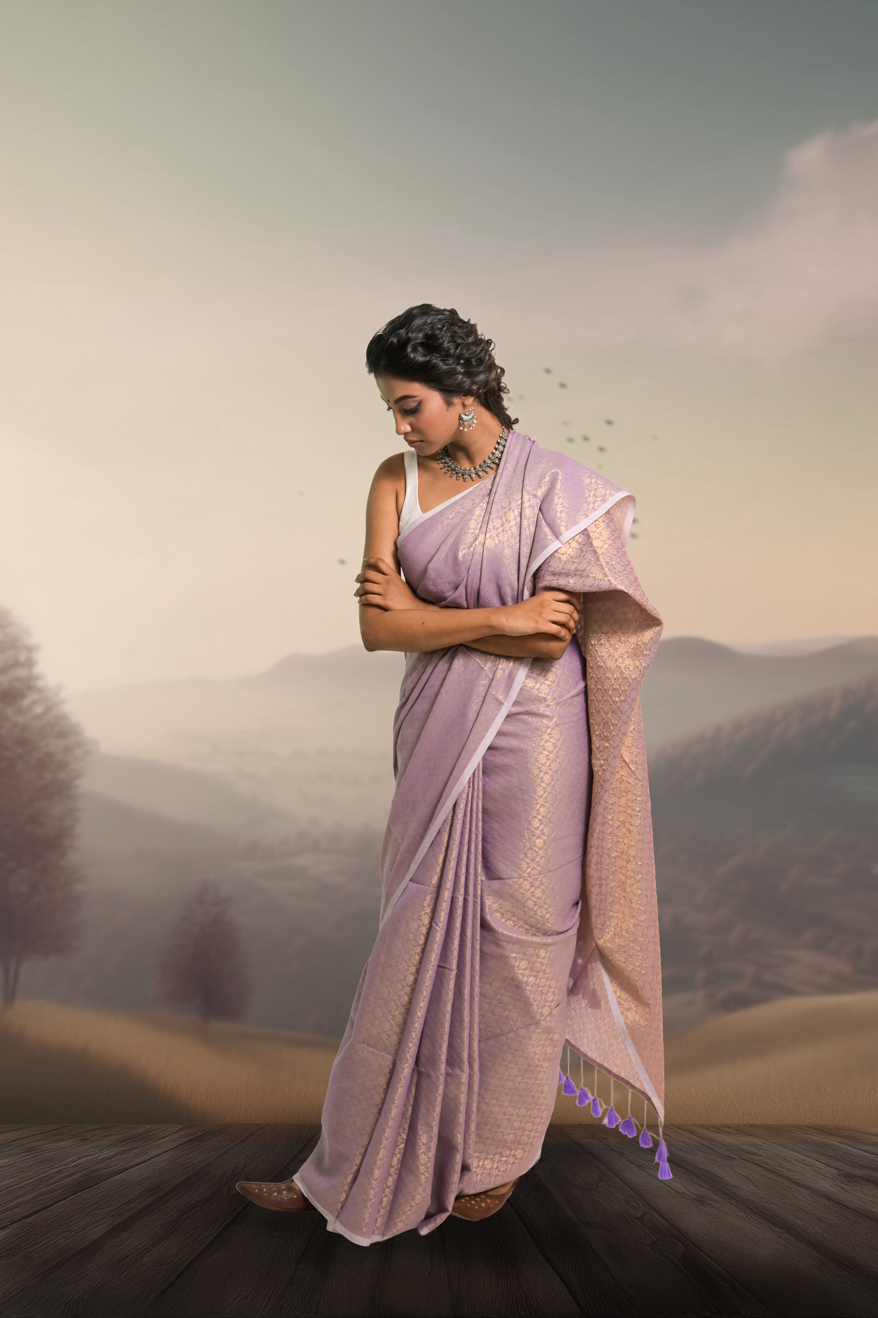 lavender-and-brocade-dual-colour-saree