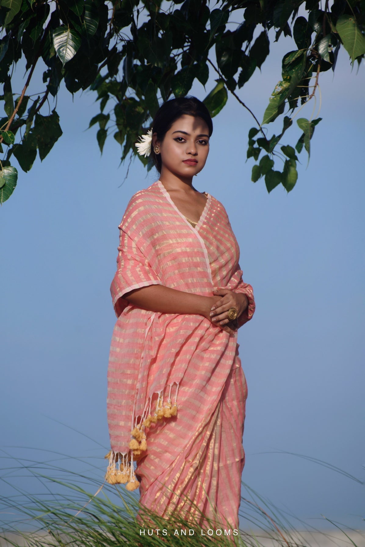 Gayatri I Handloom Cotton Zari Saree